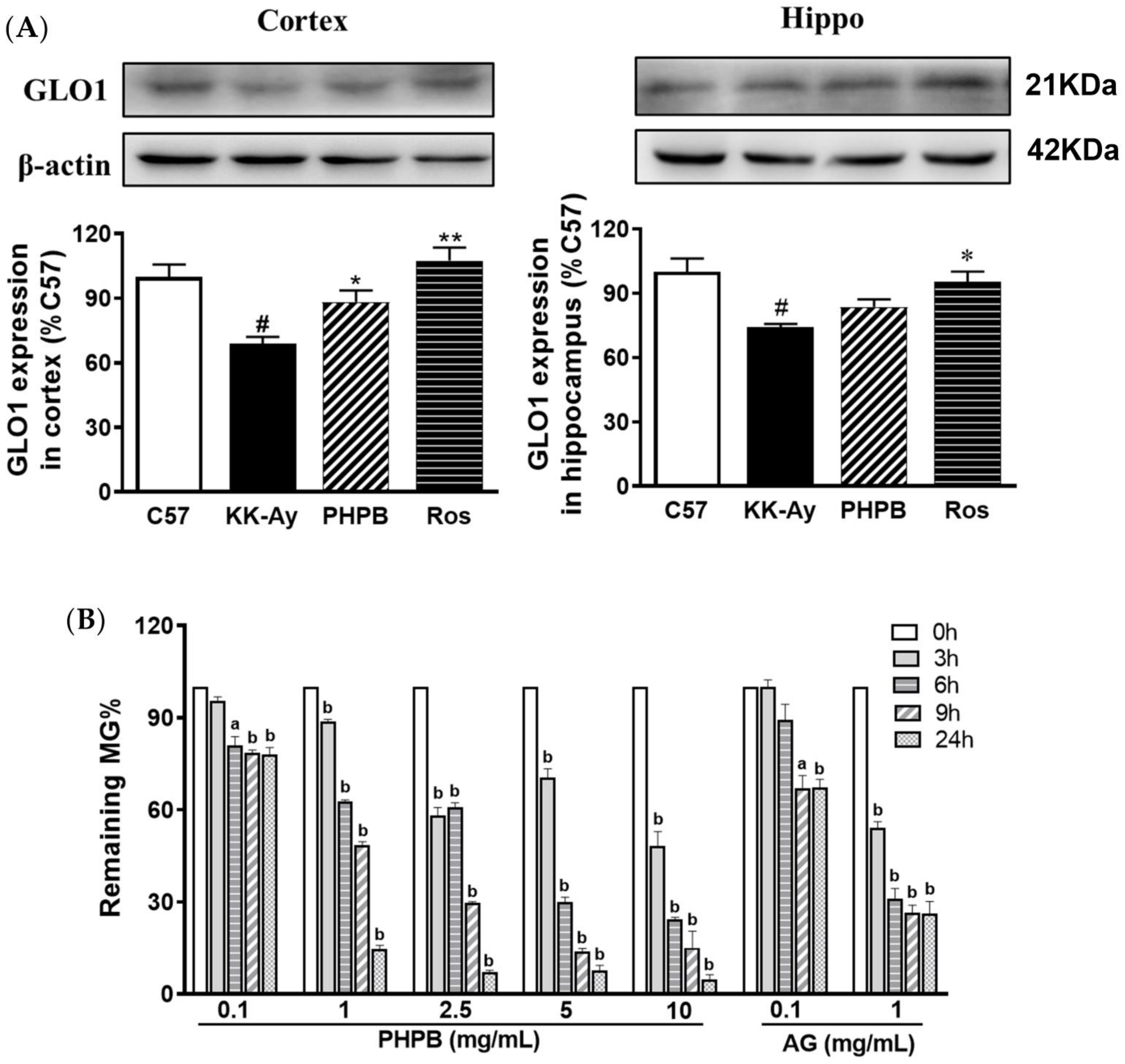 Pharmaceuticals 16 00305 g006 Pharmaceuticals 16 00305 g006