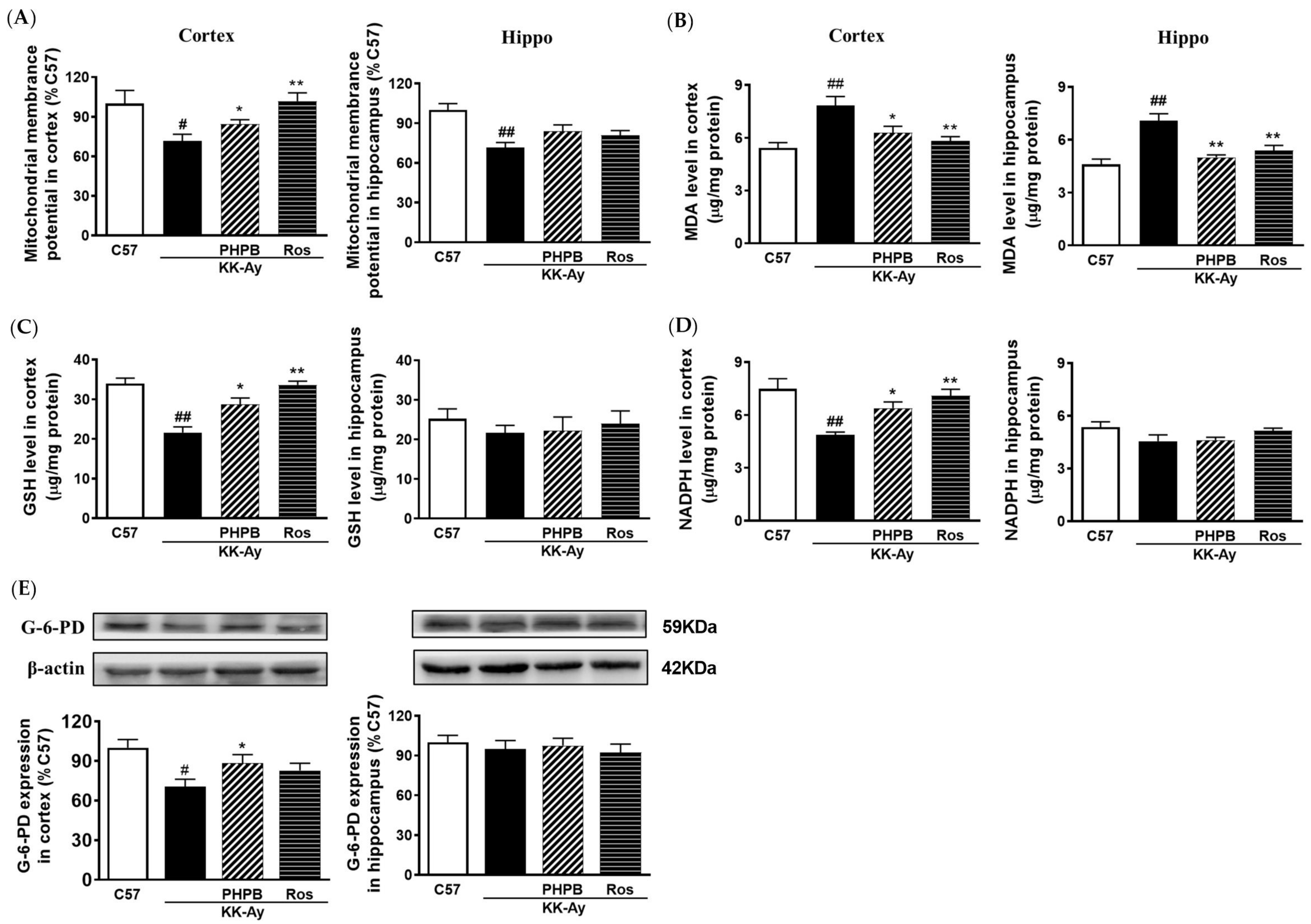Pharmaceuticals 16 00305 g008 Pharmaceuticals 16 00305 g008