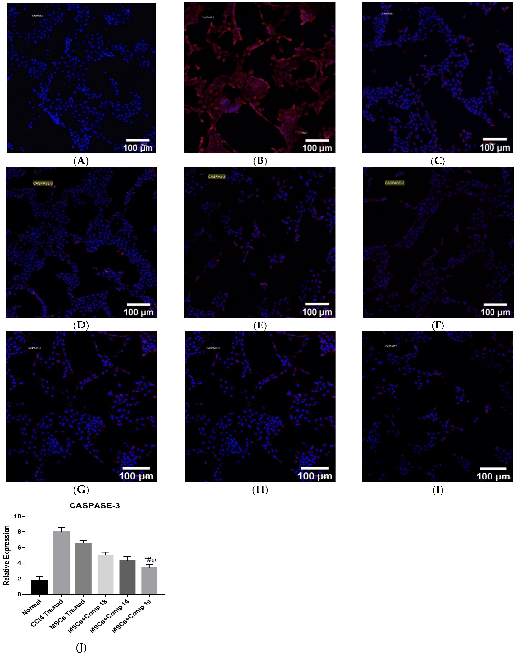 Pharmaceuticals 16 00306 g003 Pharmaceuticals 16 00306 g003