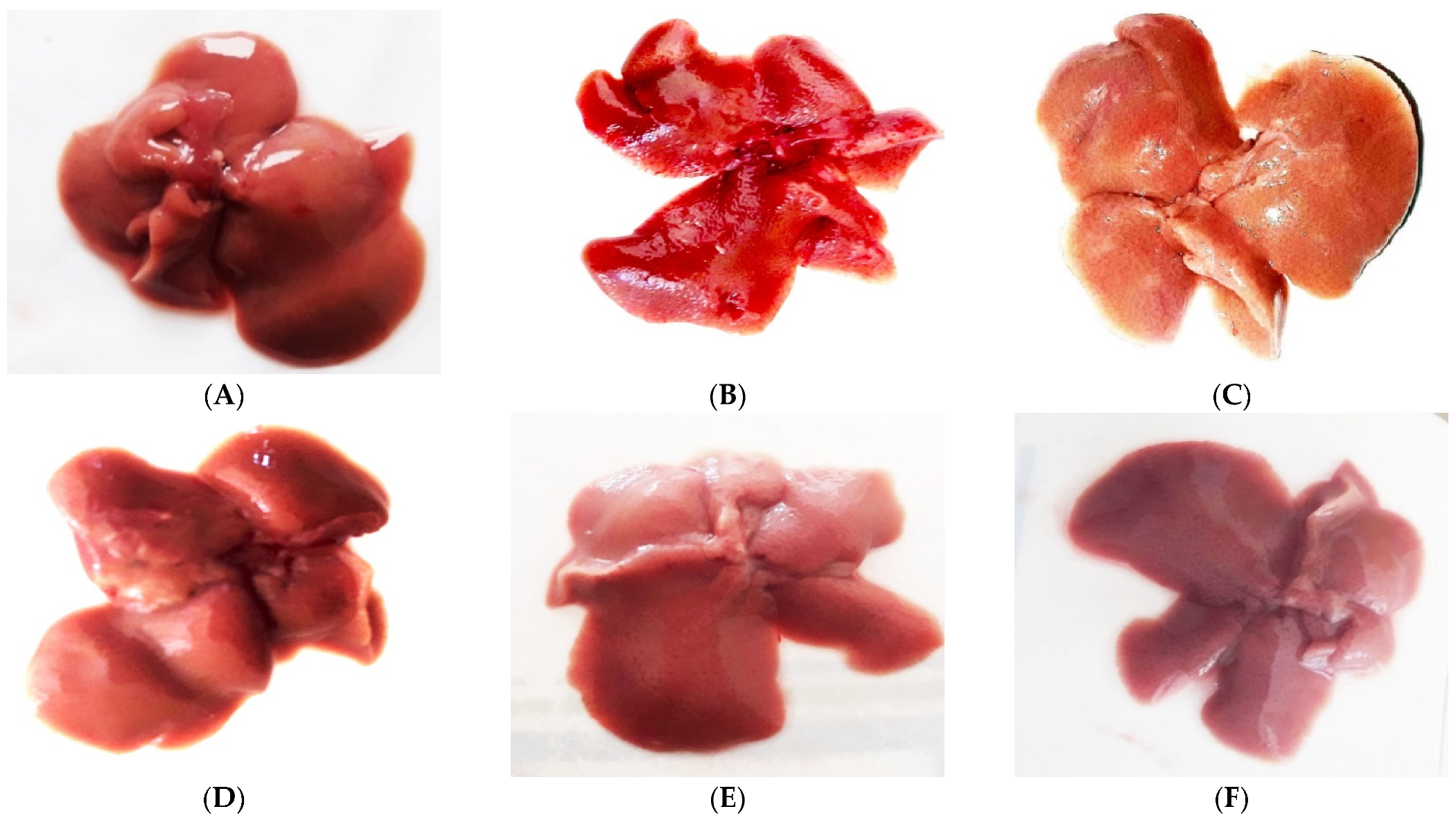 Pharmaceuticals 16 00306 g004 Pharmaceuticals 16 00306 g004