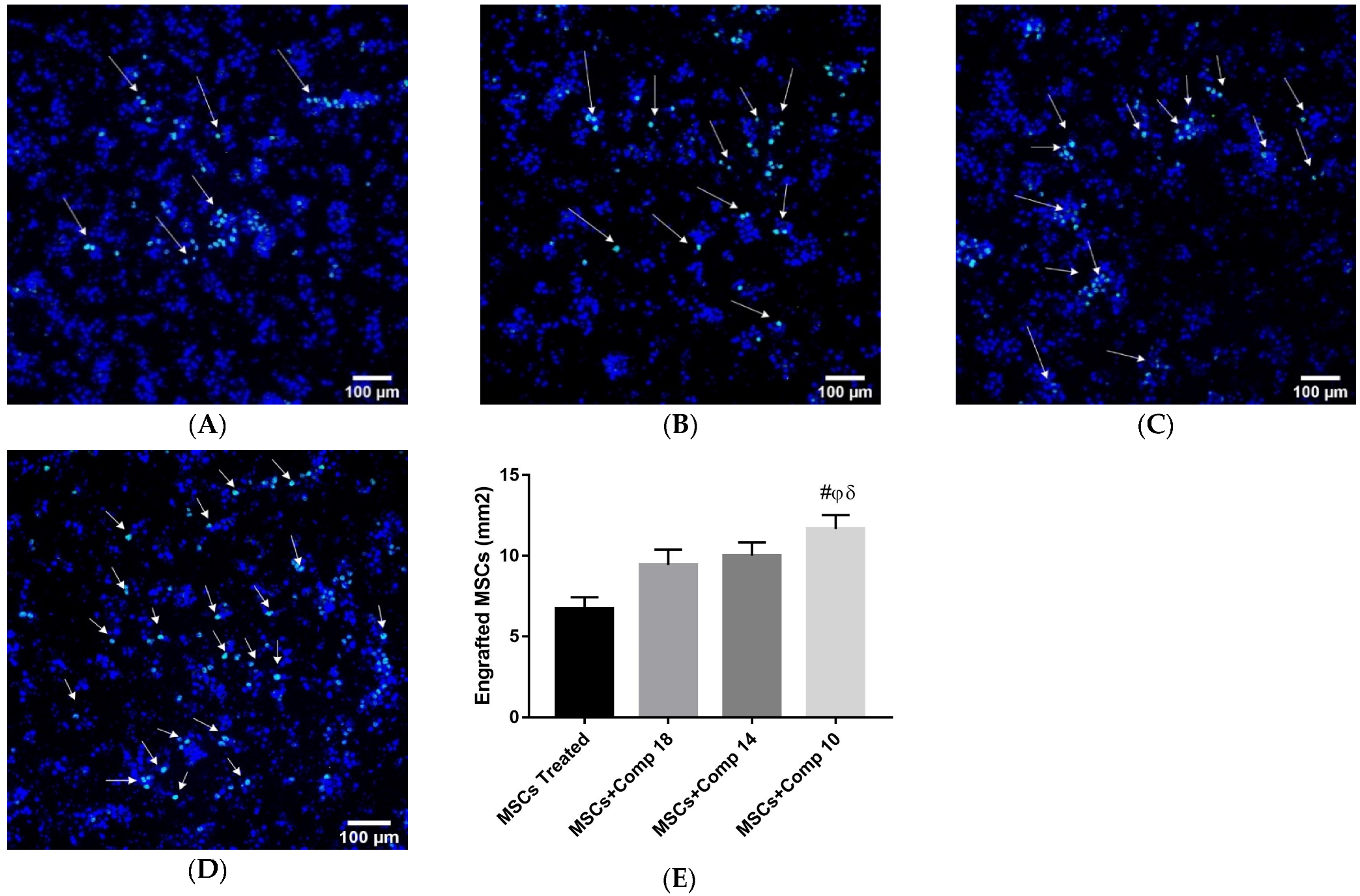 Pharmaceuticals 16 00306 g005 Pharmaceuticals 16 00306 g005