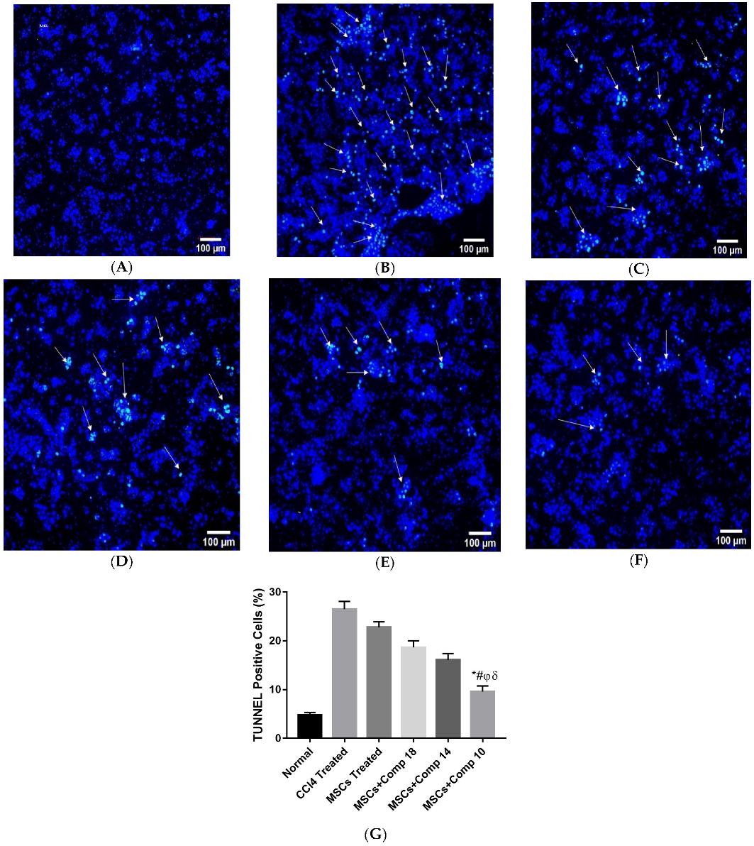 Pharmaceuticals 16 00306 g006 Pharmaceuticals 16 00306 g006