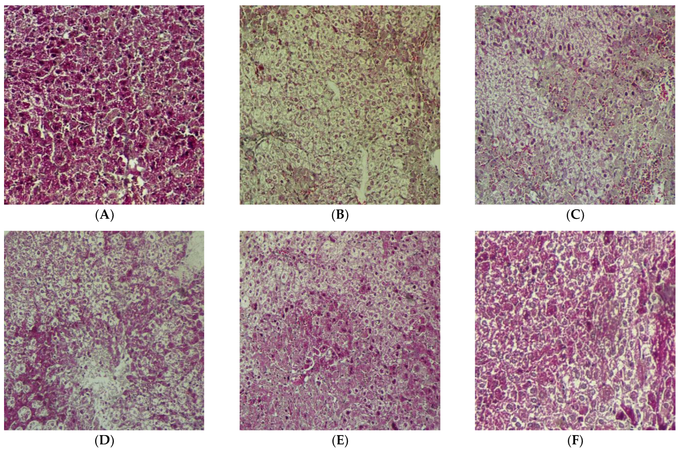 Pharmaceuticals 16 00306 g008 Pharmaceuticals 16 00306 g008