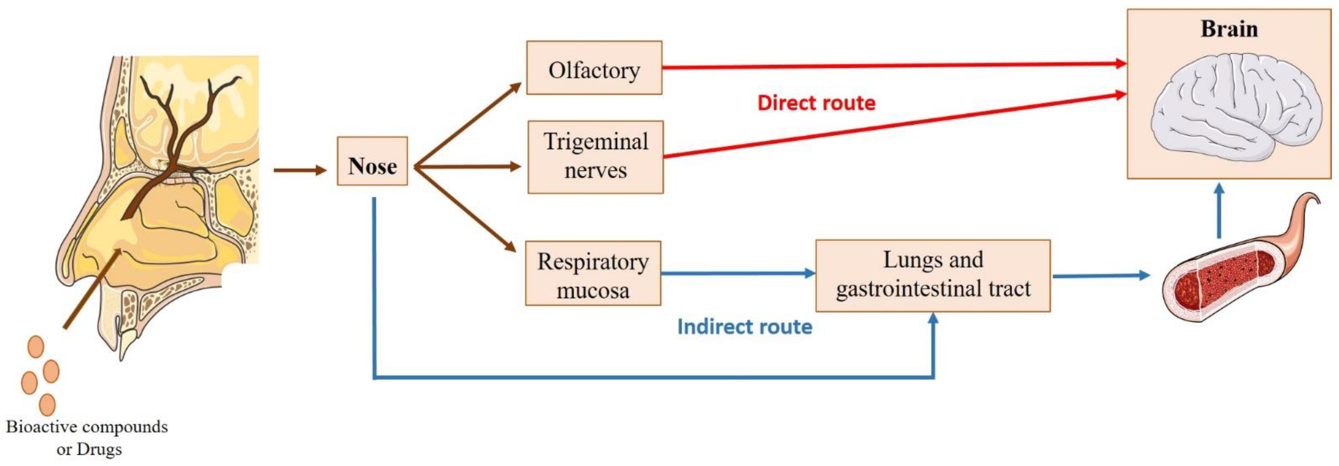 Pharmaceuticals 16 00311 g002