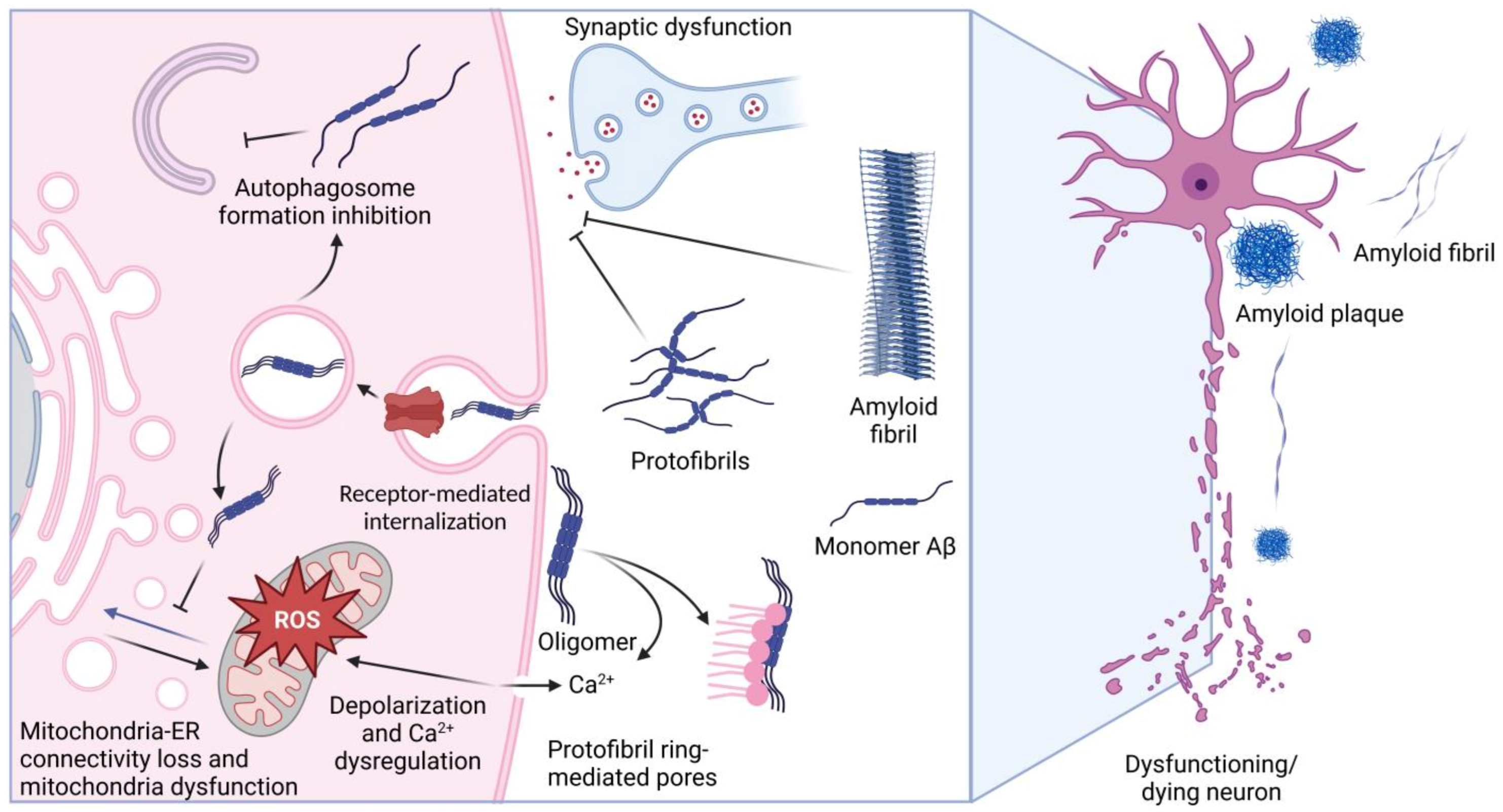 Pharmaceuticals 16 00312 g001 Pharmaceuticals 16 00312 g001