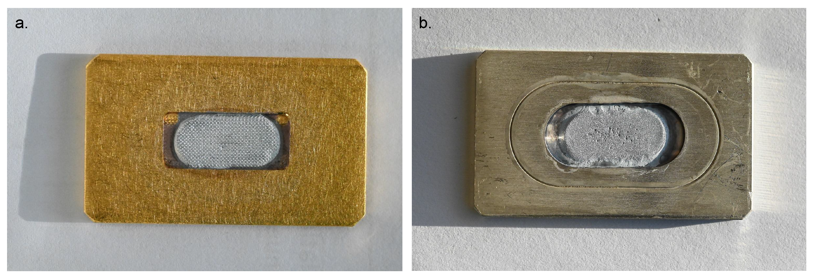 Pharmaceuticals 16 00314 g001