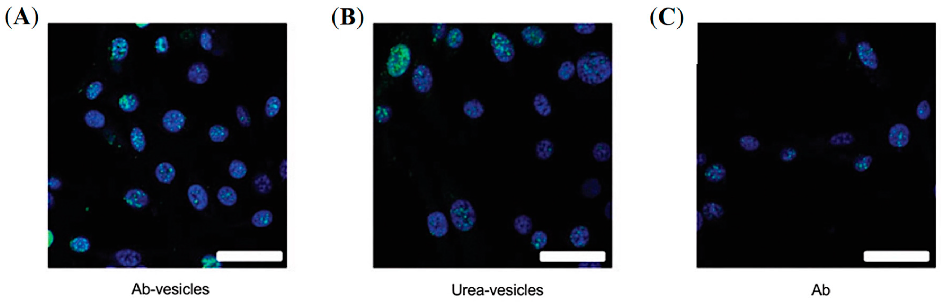 Pharmaceuticals 16 00315 g009 Pharmaceuticals 16 00315 g009