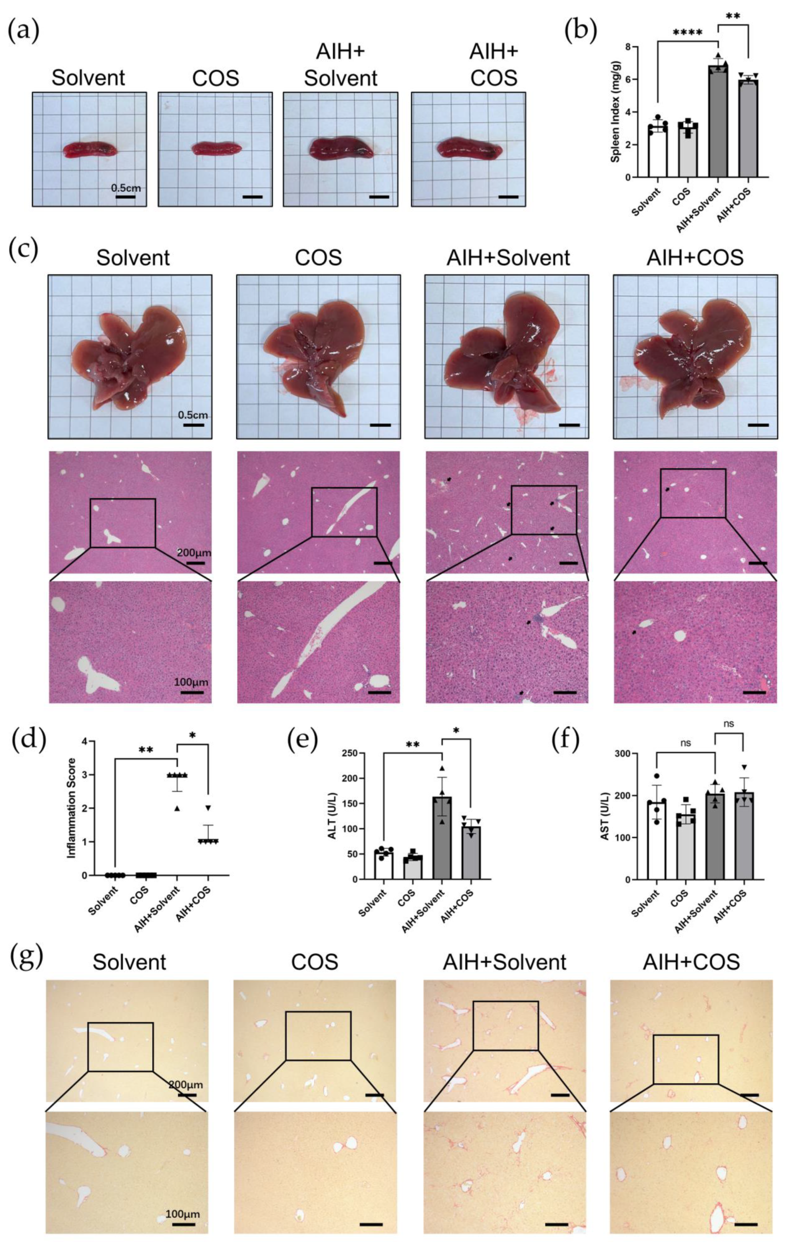 Pharmaceuticals 16 00316 g008 Pharmaceuticals 16 00316 g008