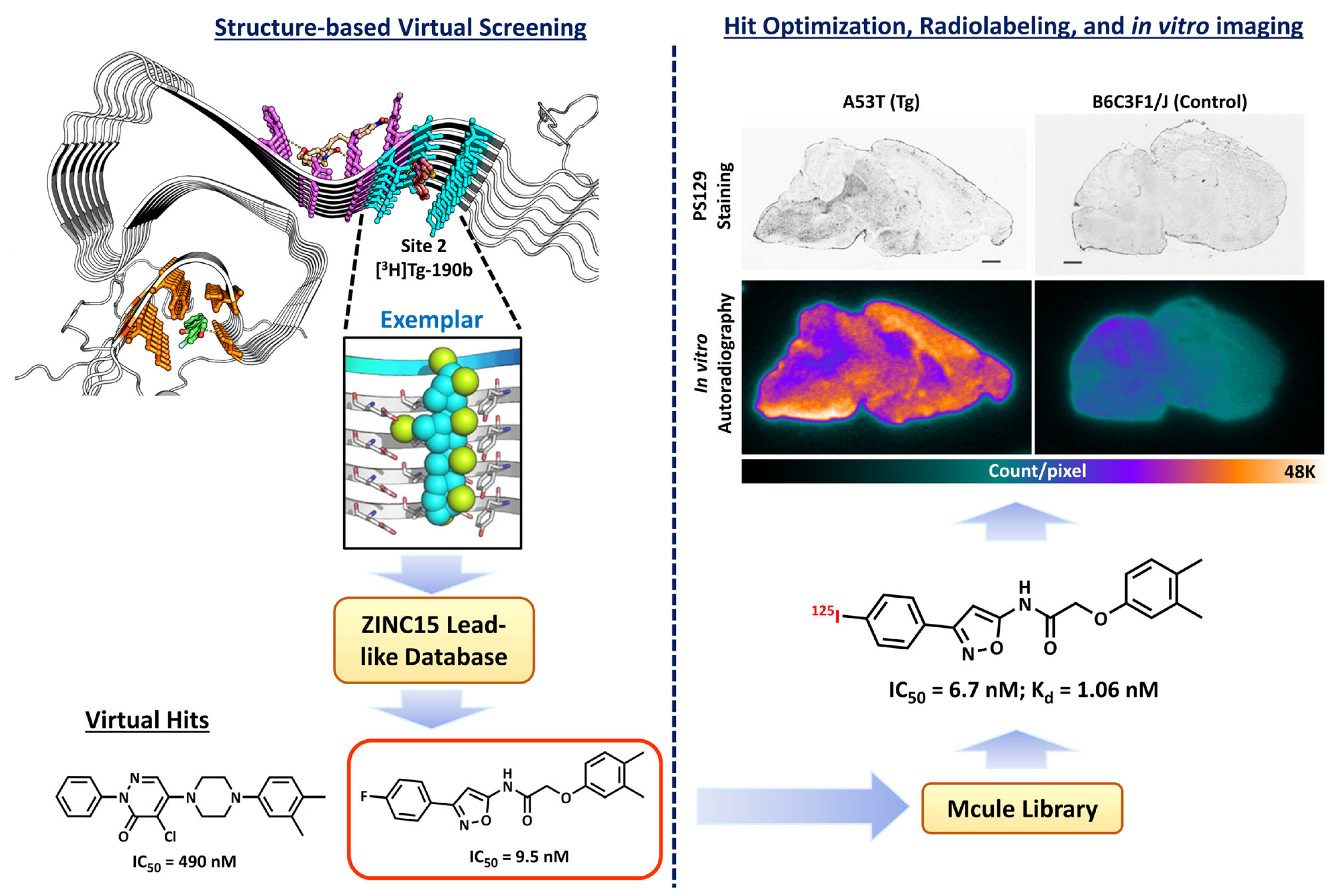 Pharmaceuticals 16 00317 g003 Pharmaceuticals 16 00317 g003