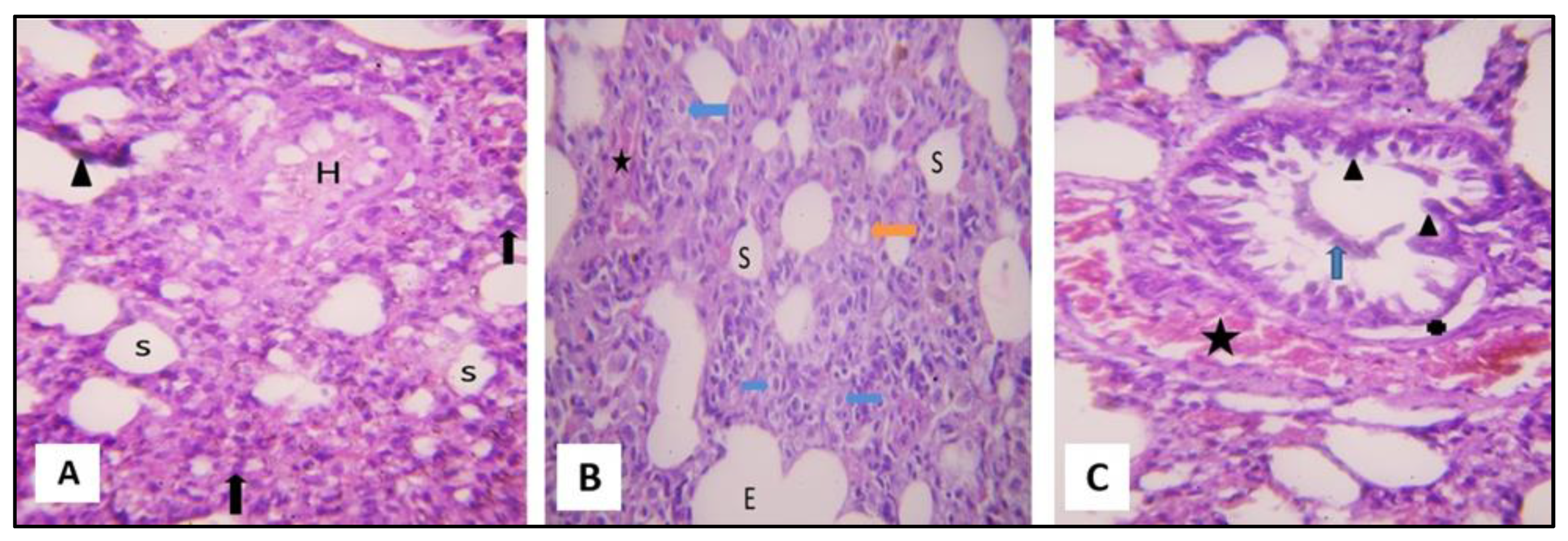 Pharmaceuticals 16 00318 g005 Pharmaceuticals 16 00318 g005