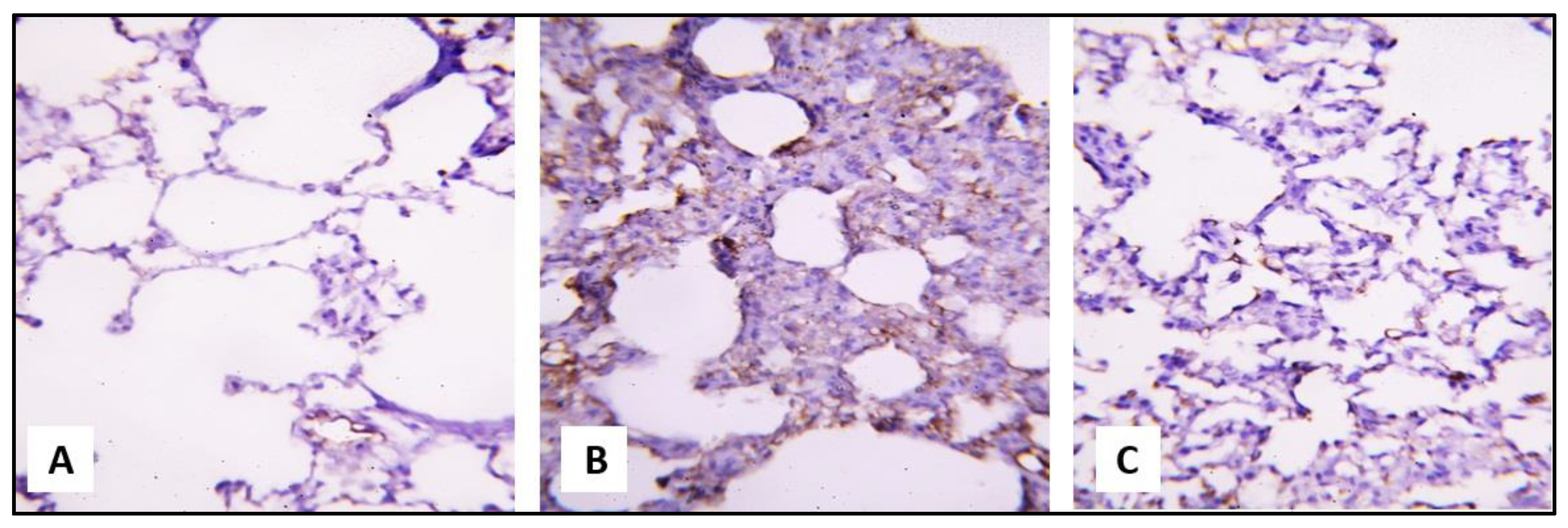 Pharmaceuticals 16 00318 g007 Pharmaceuticals 16 00318 g007