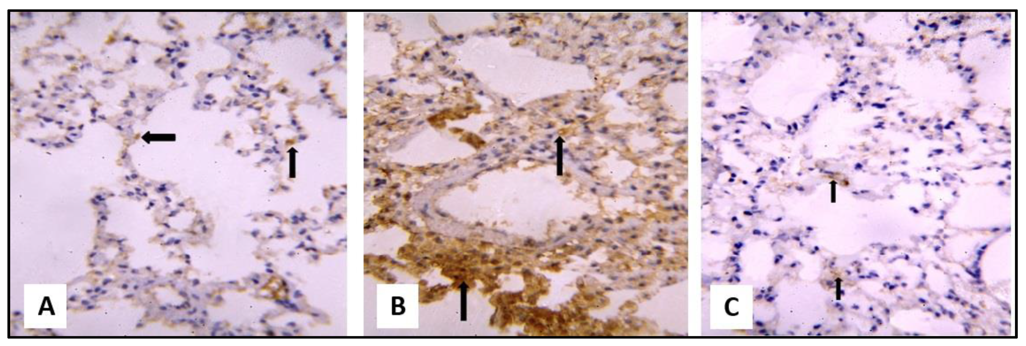 Pharmaceuticals 16 00318 g008 Pharmaceuticals 16 00318 g008