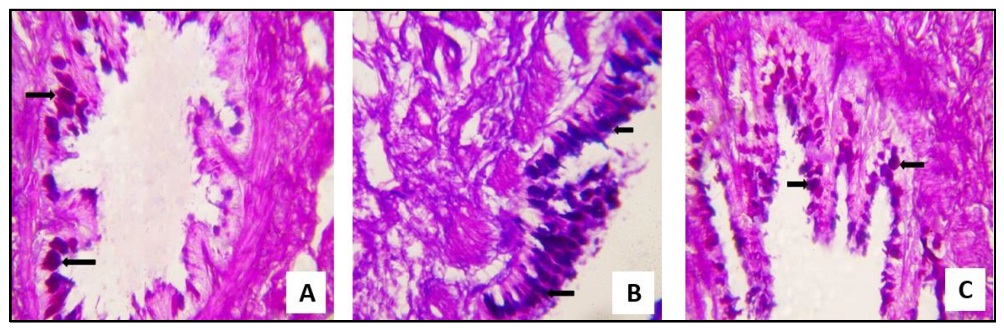 Pharmaceuticals 16 00318 g009 Pharmaceuticals 16 00318 g009