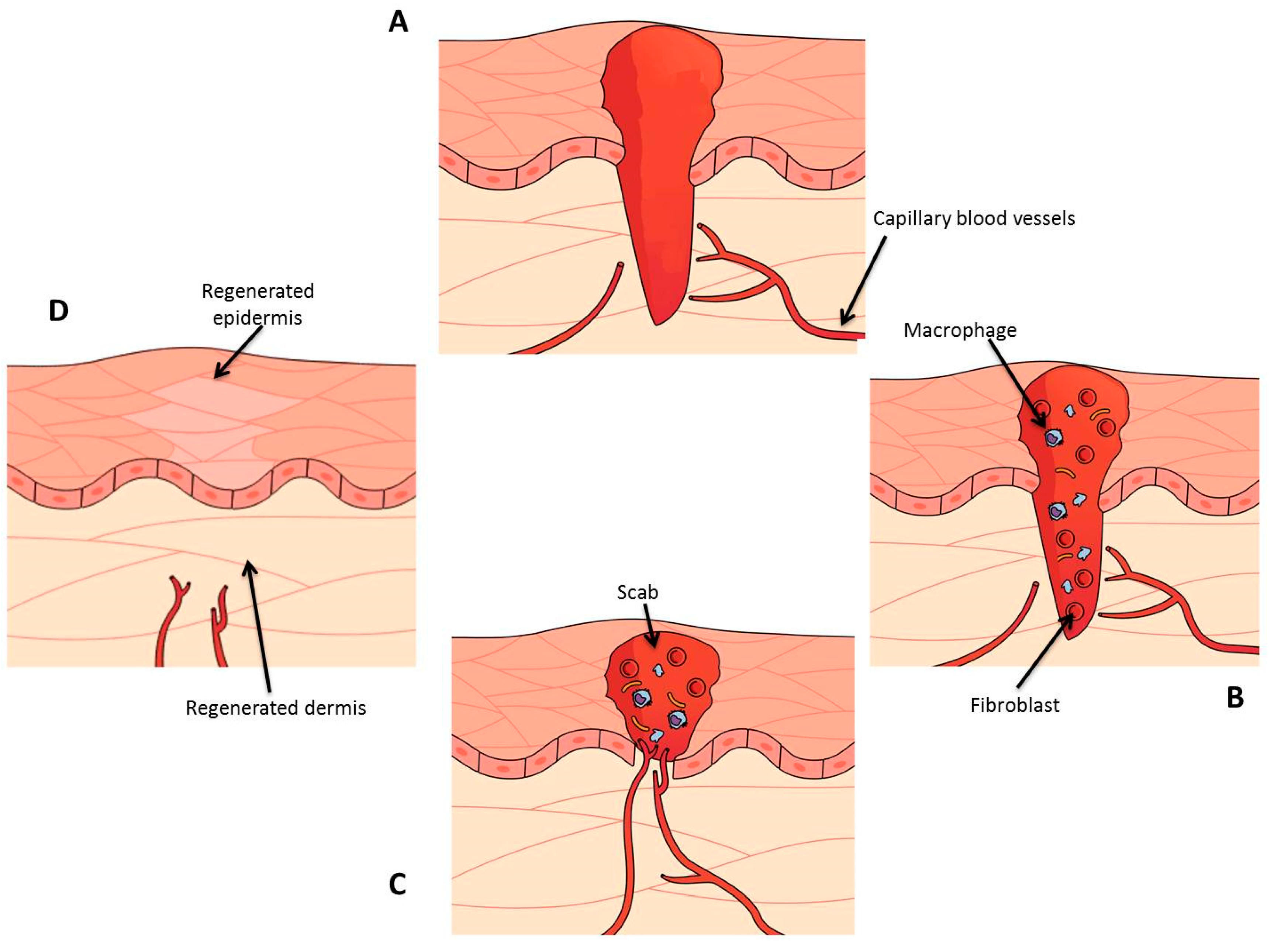 Pharmaceuticals 16 00325 g002 Pharmaceuticals 16 00325 g002