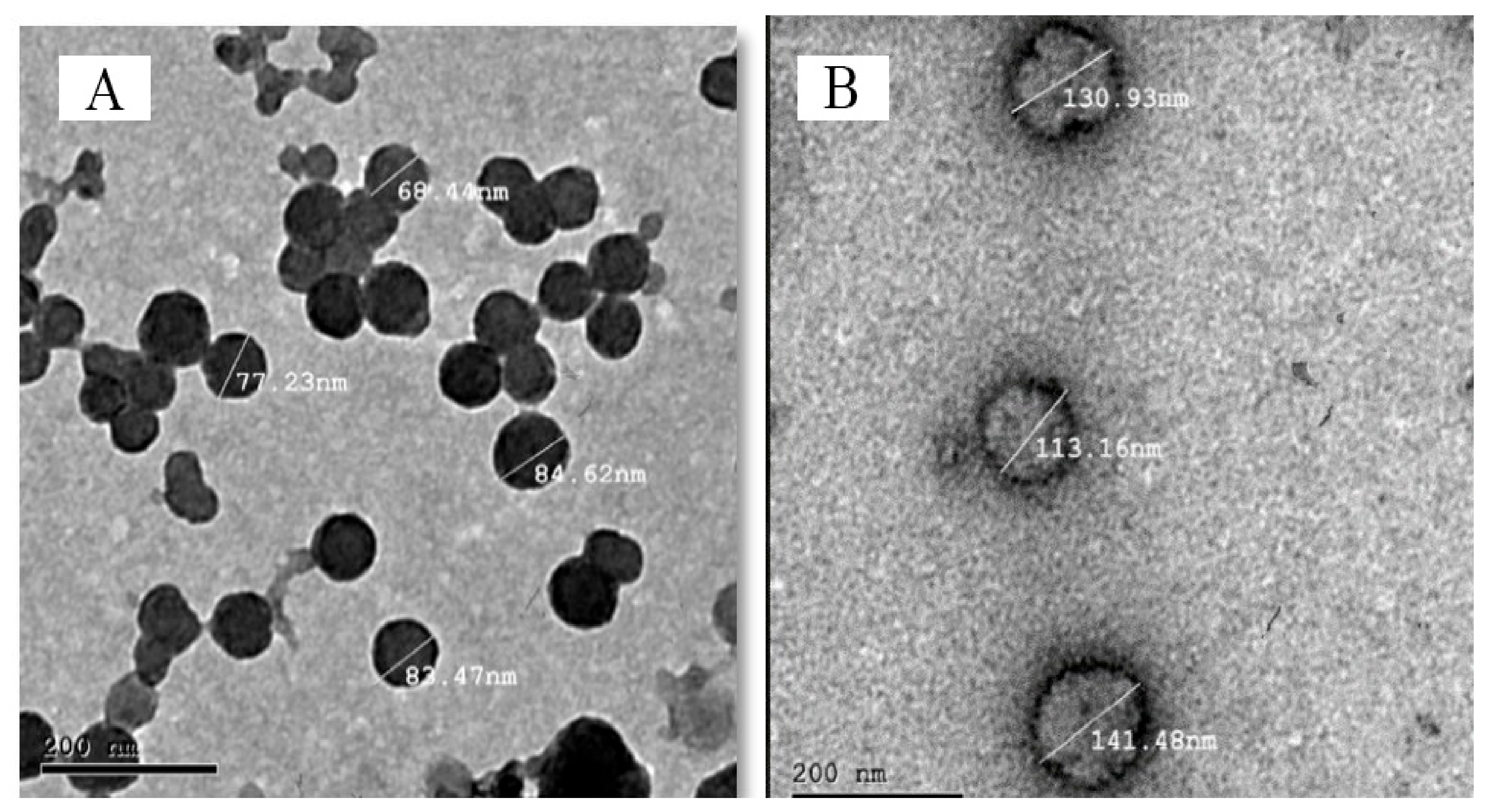 Pharmaceuticals 16 00326 g008 Pharmaceuticals 16 00326 g008
