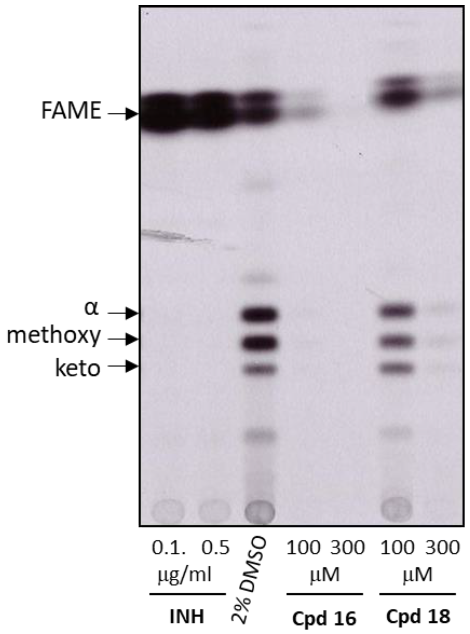 Pharmaceuticals 16 00335 g004 Pharmaceuticals 16 00335 g004