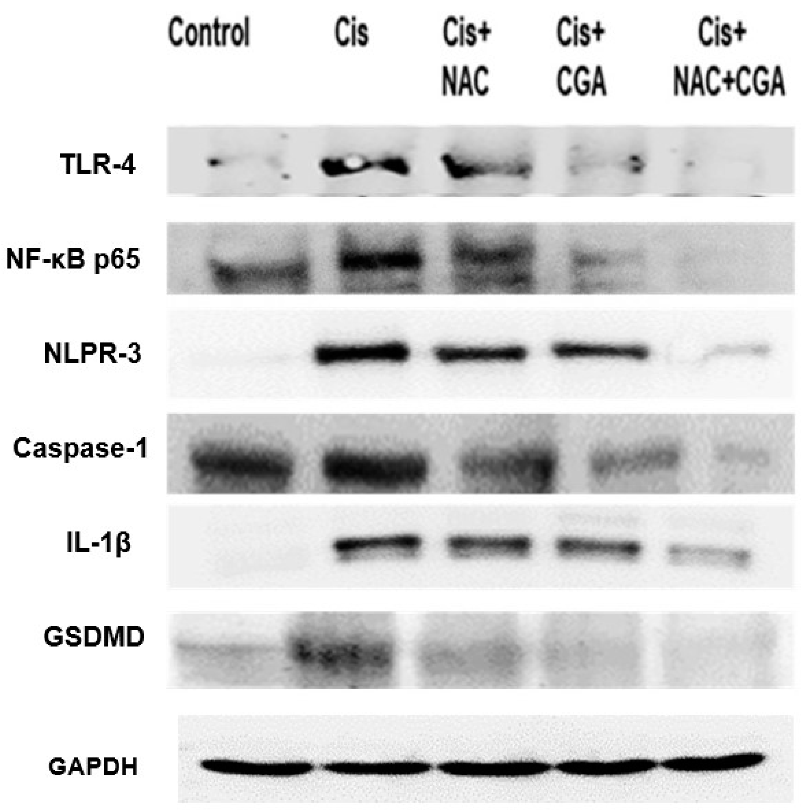 Pharmaceuticals 16 00337 g003 Pharmaceuticals 16 00337 g003