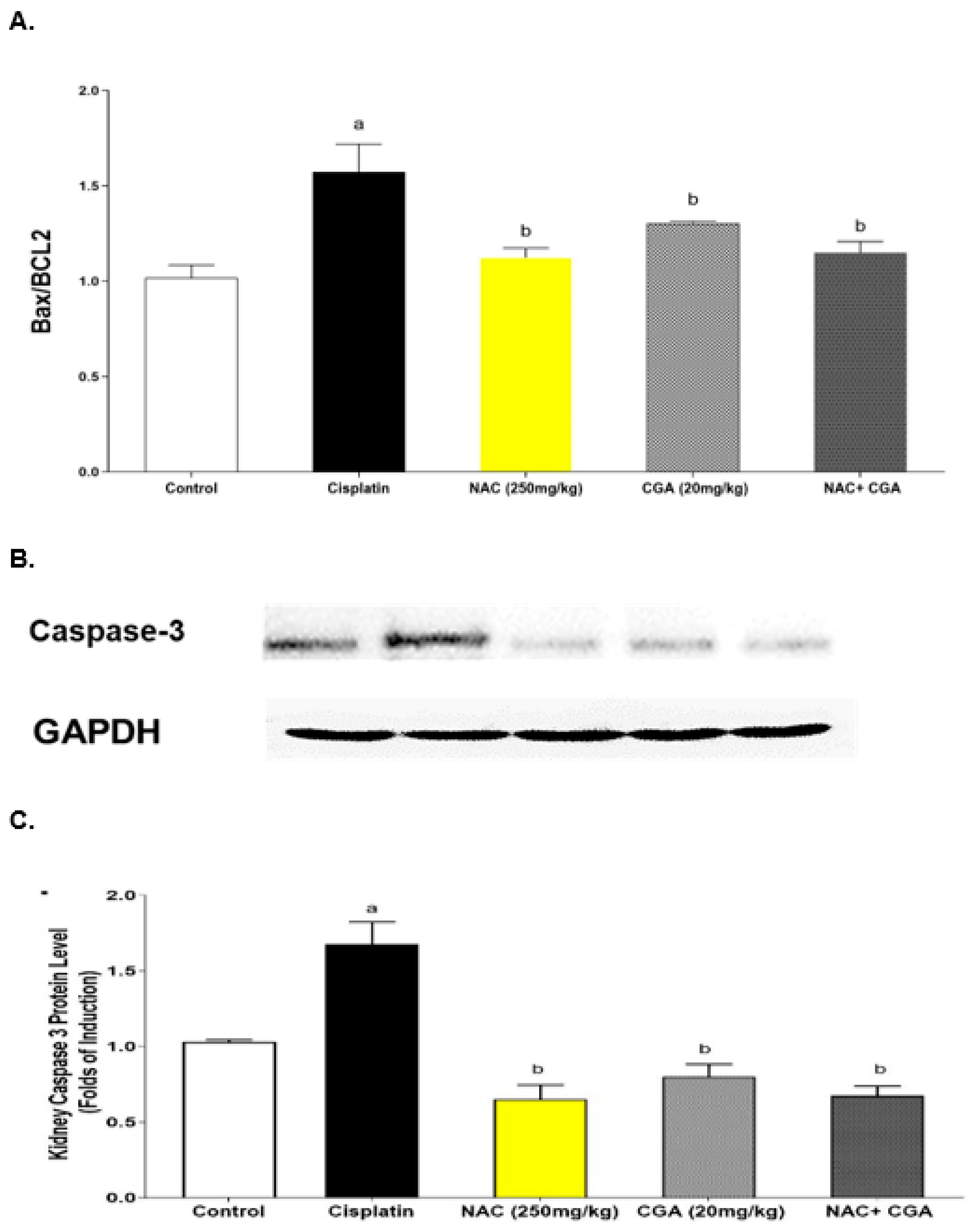 Pharmaceuticals 16 00337 g005 Pharmaceuticals 16 00337 g005