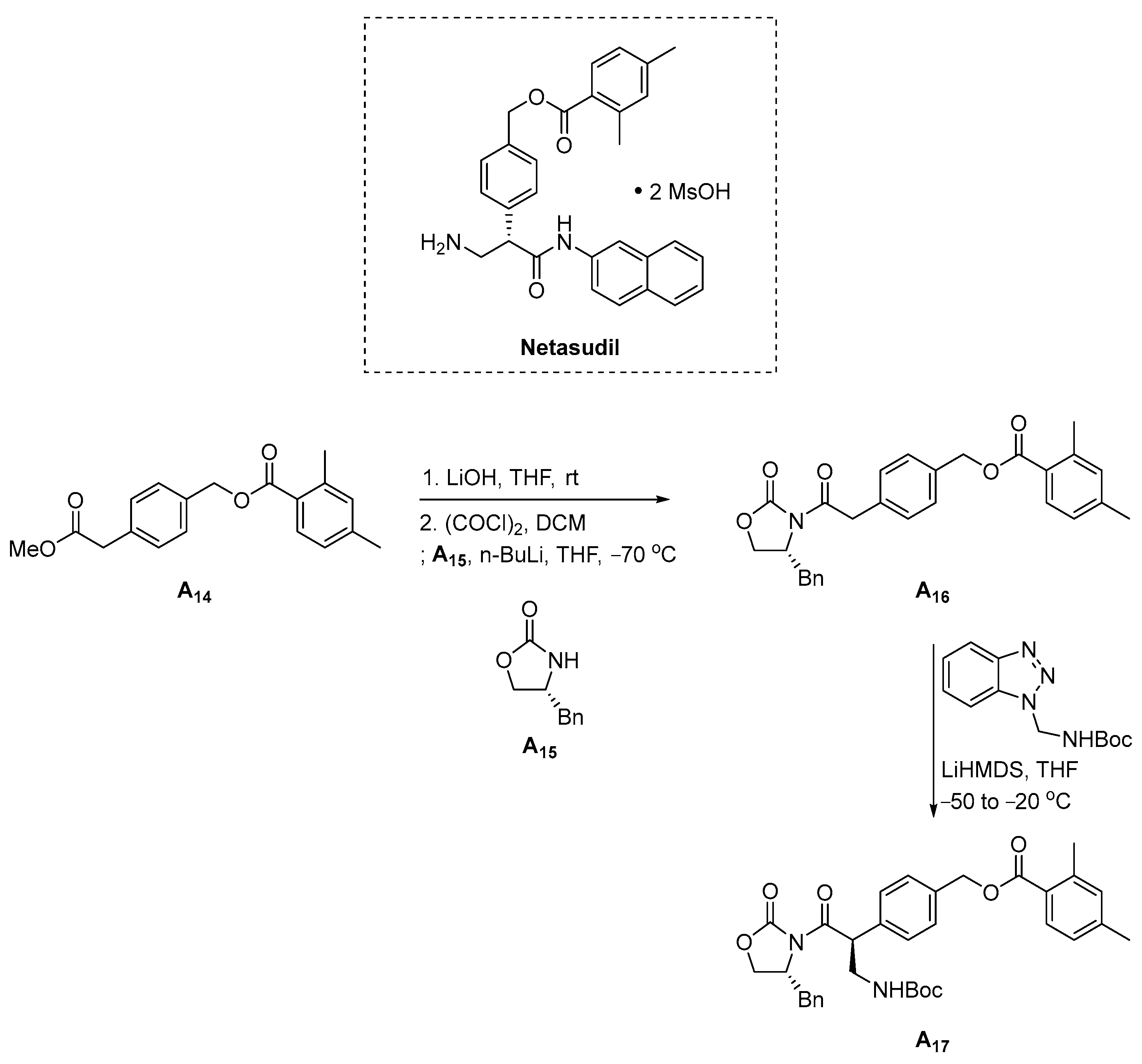 Pharmaceuticals 16 00339 sch005