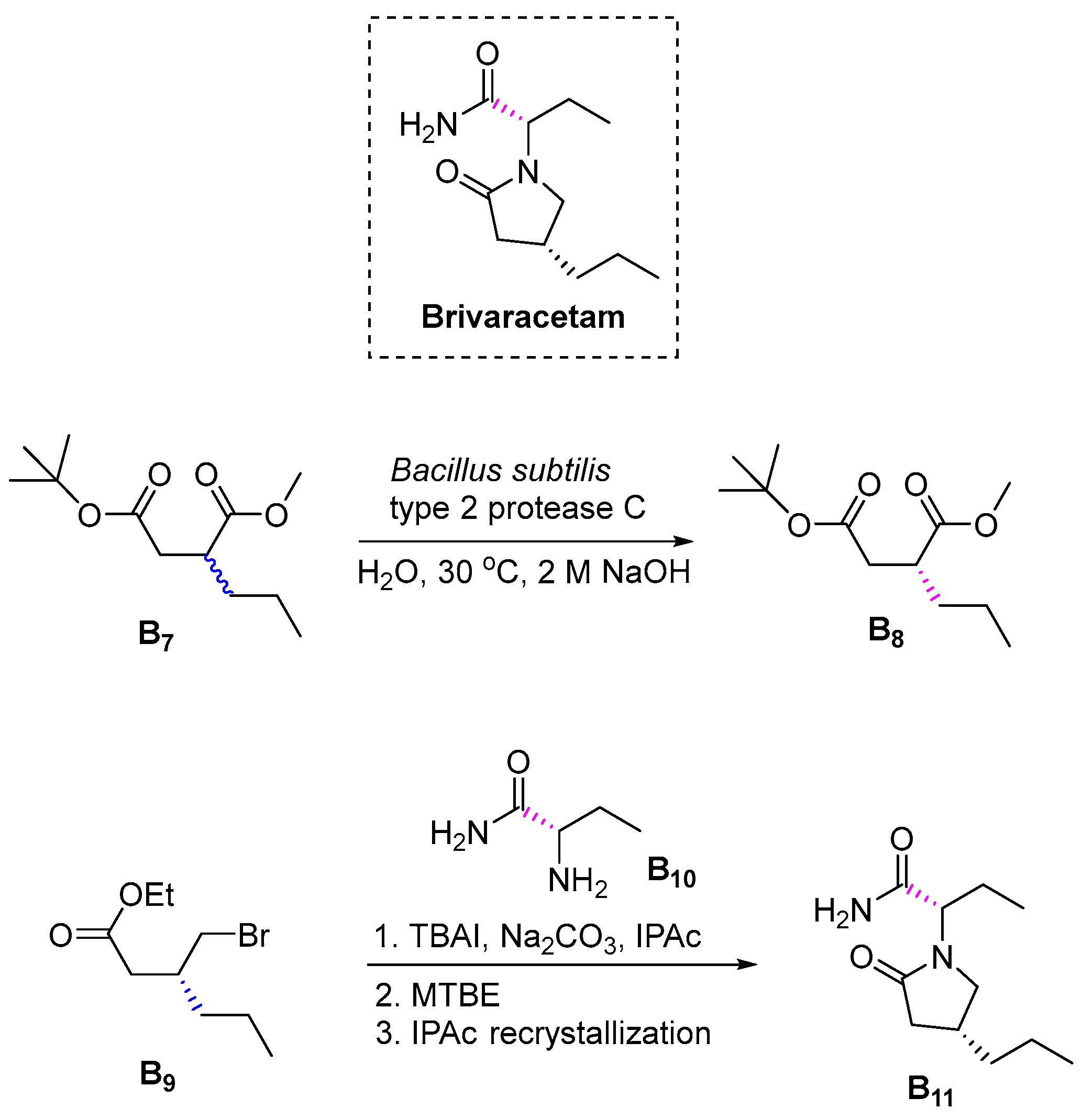 Pharmaceuticals 16 00339 sch029
