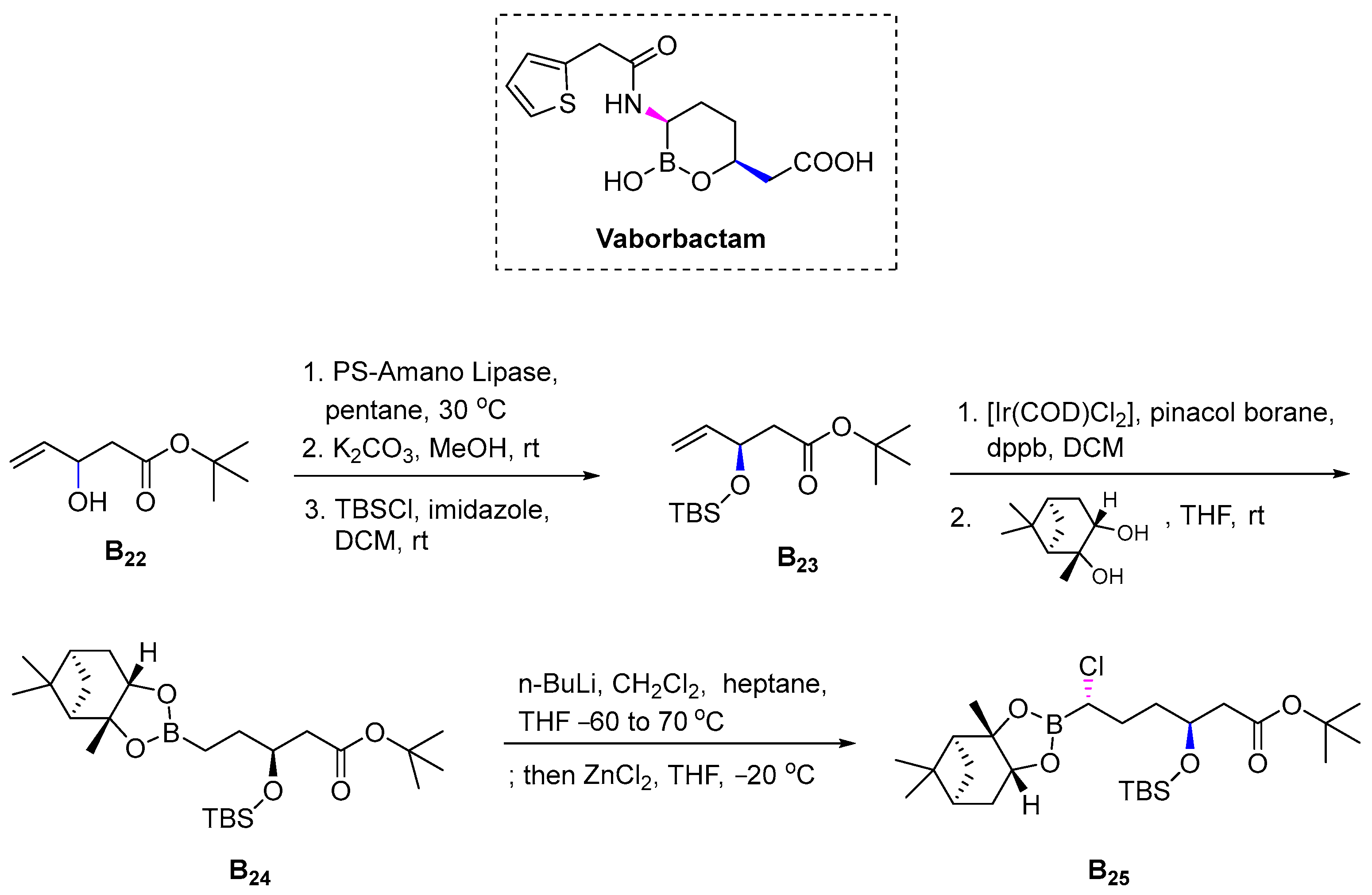 Pharmaceuticals 16 00339 sch033