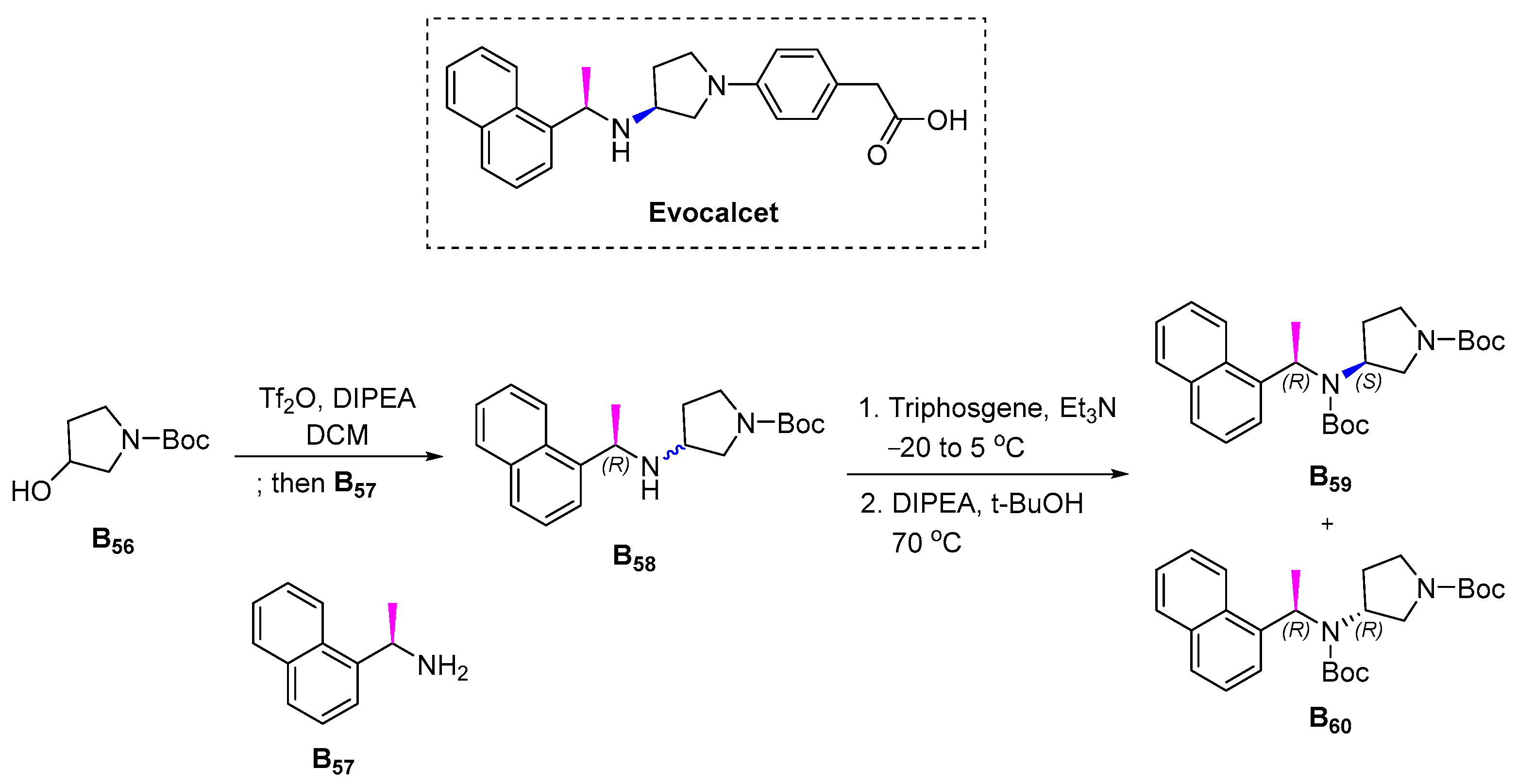 Pharmaceuticals 16 00339 sch039