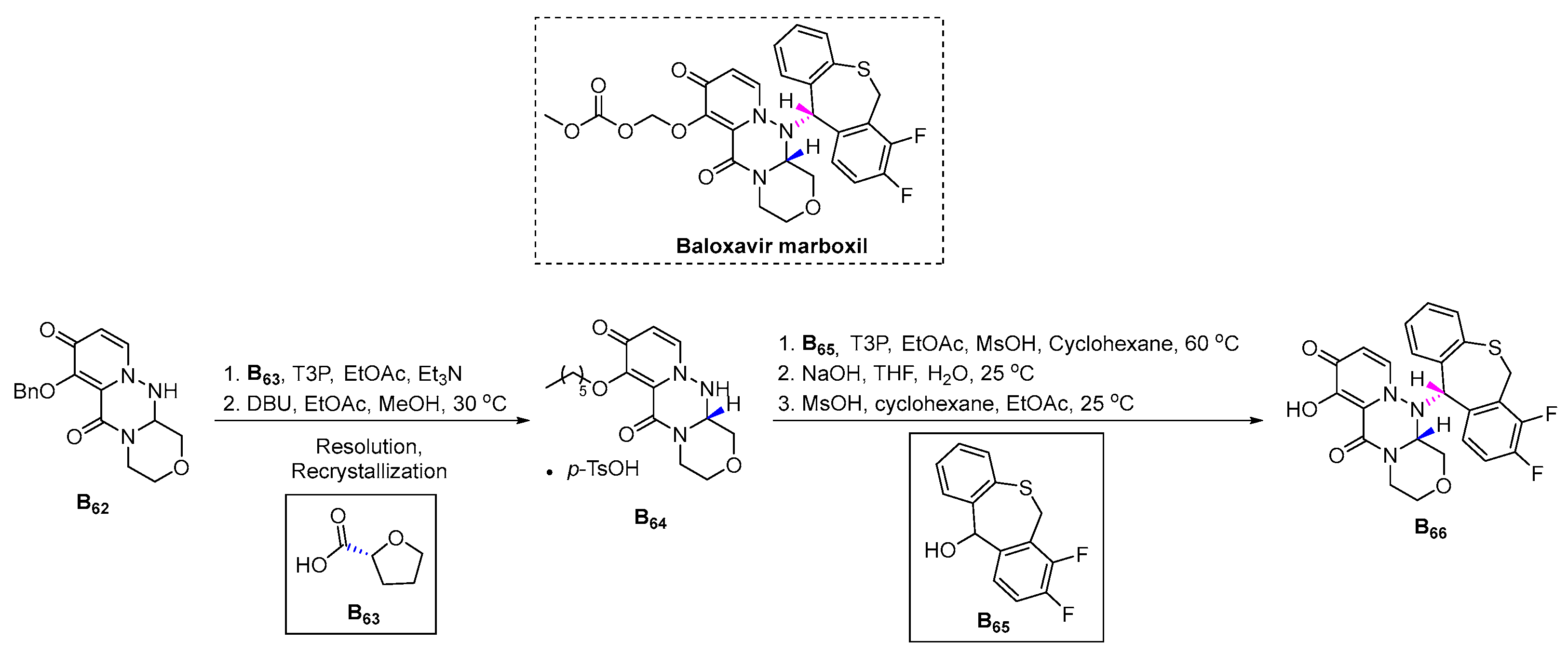 Pharmaceuticals 16 00339 sch040