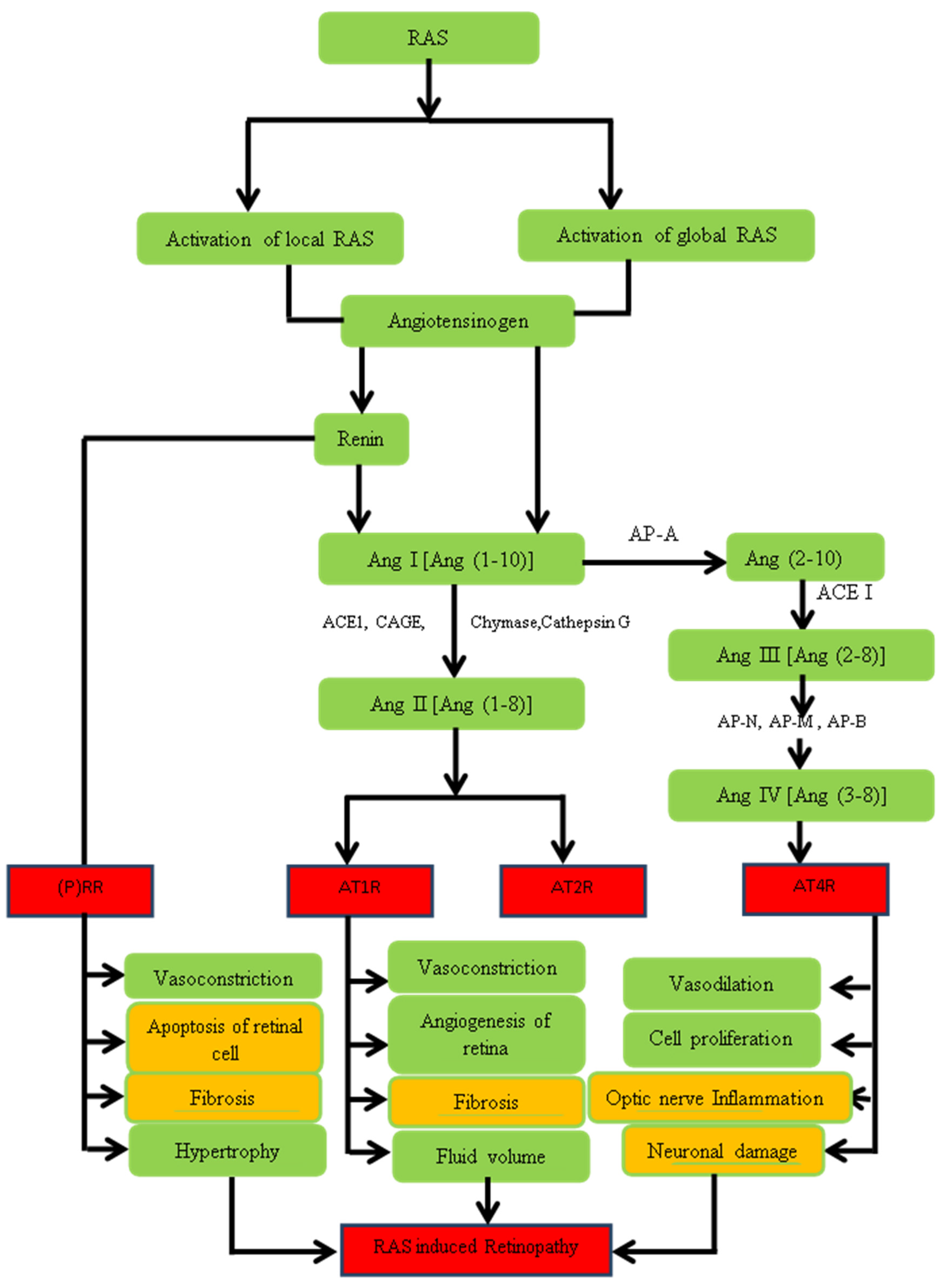Pharmaceuticals 16 00345 g005