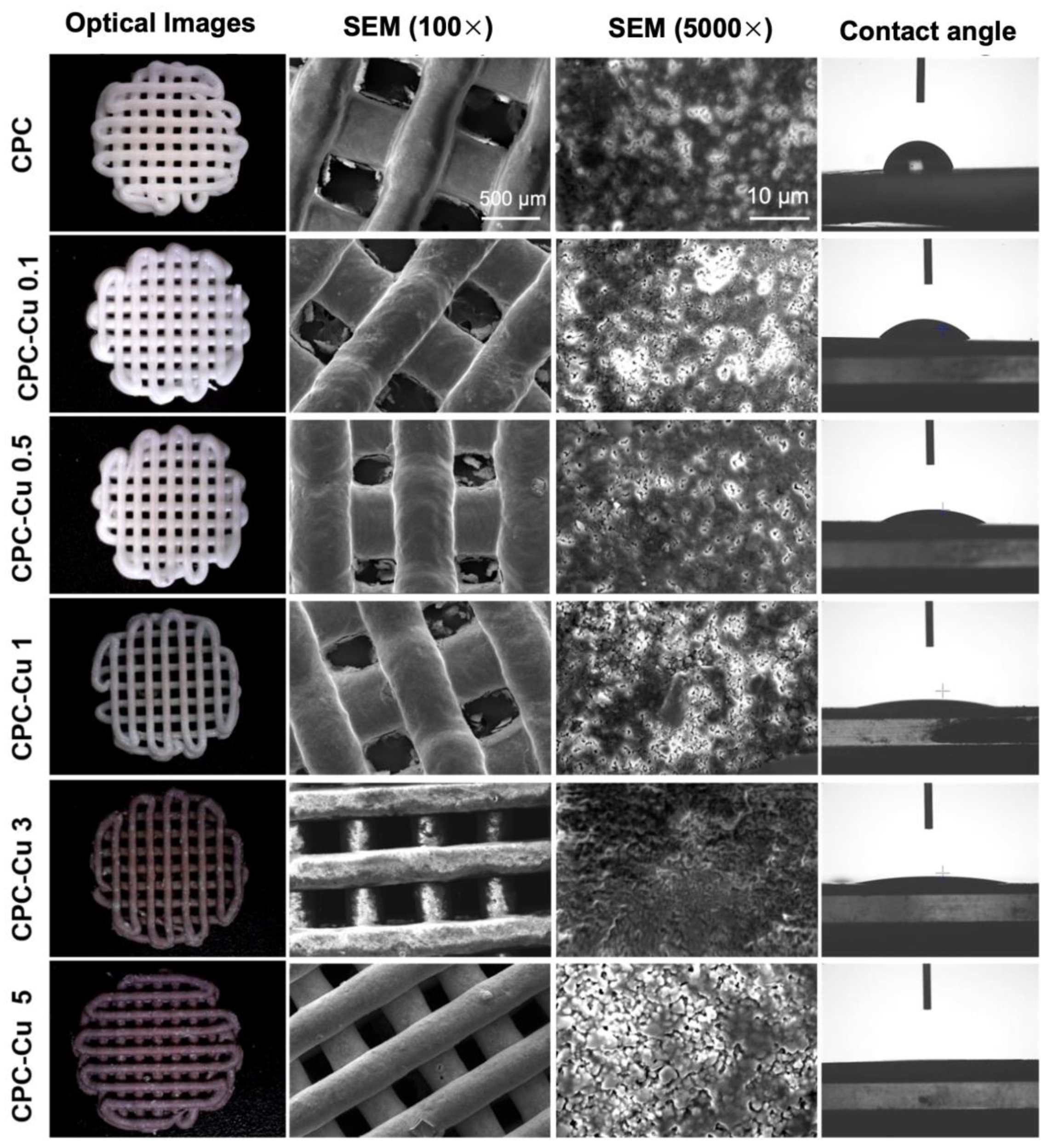Pharmaceuticals 16 00352 g001