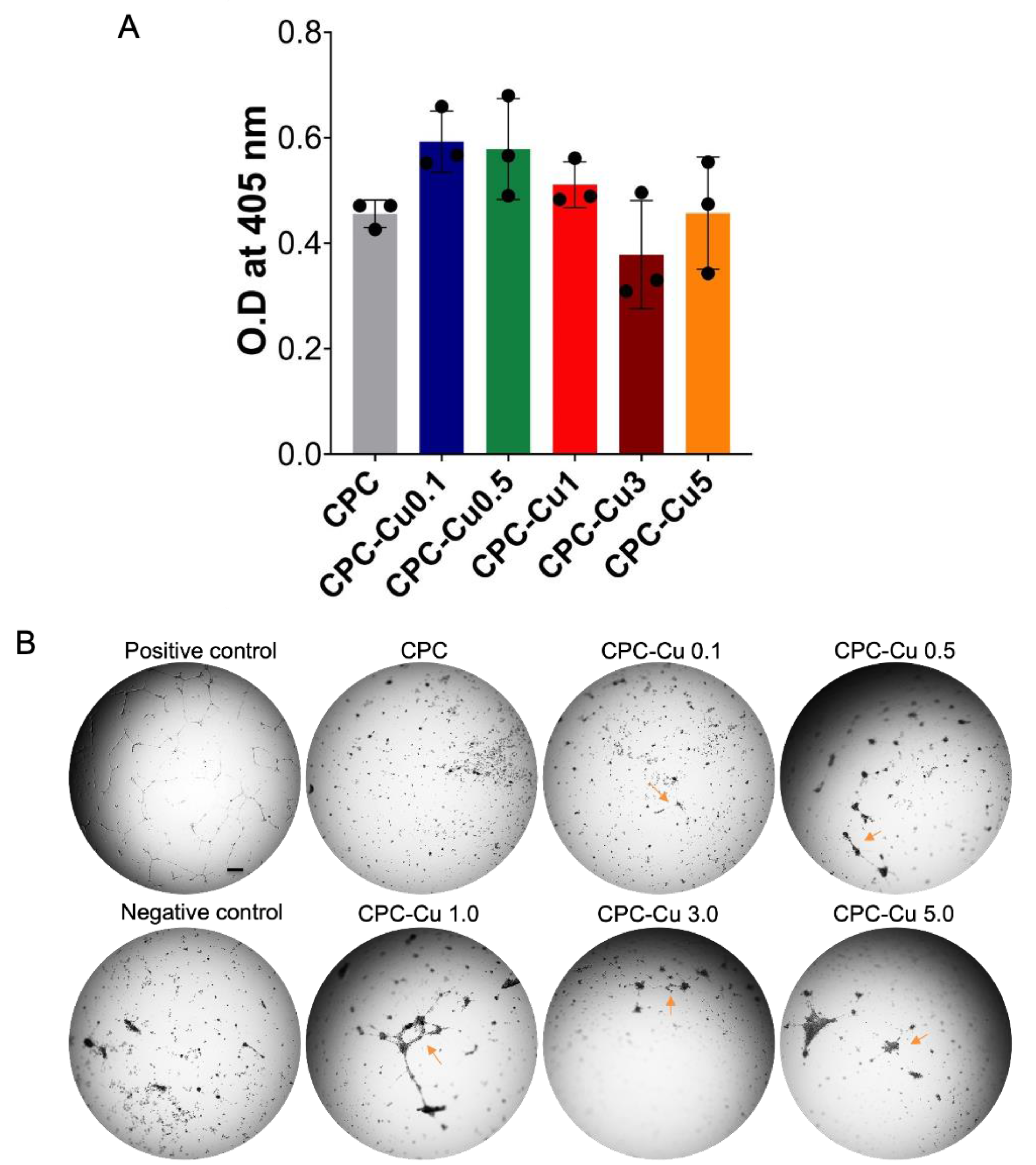 Pharmaceuticals 16 00352 g005