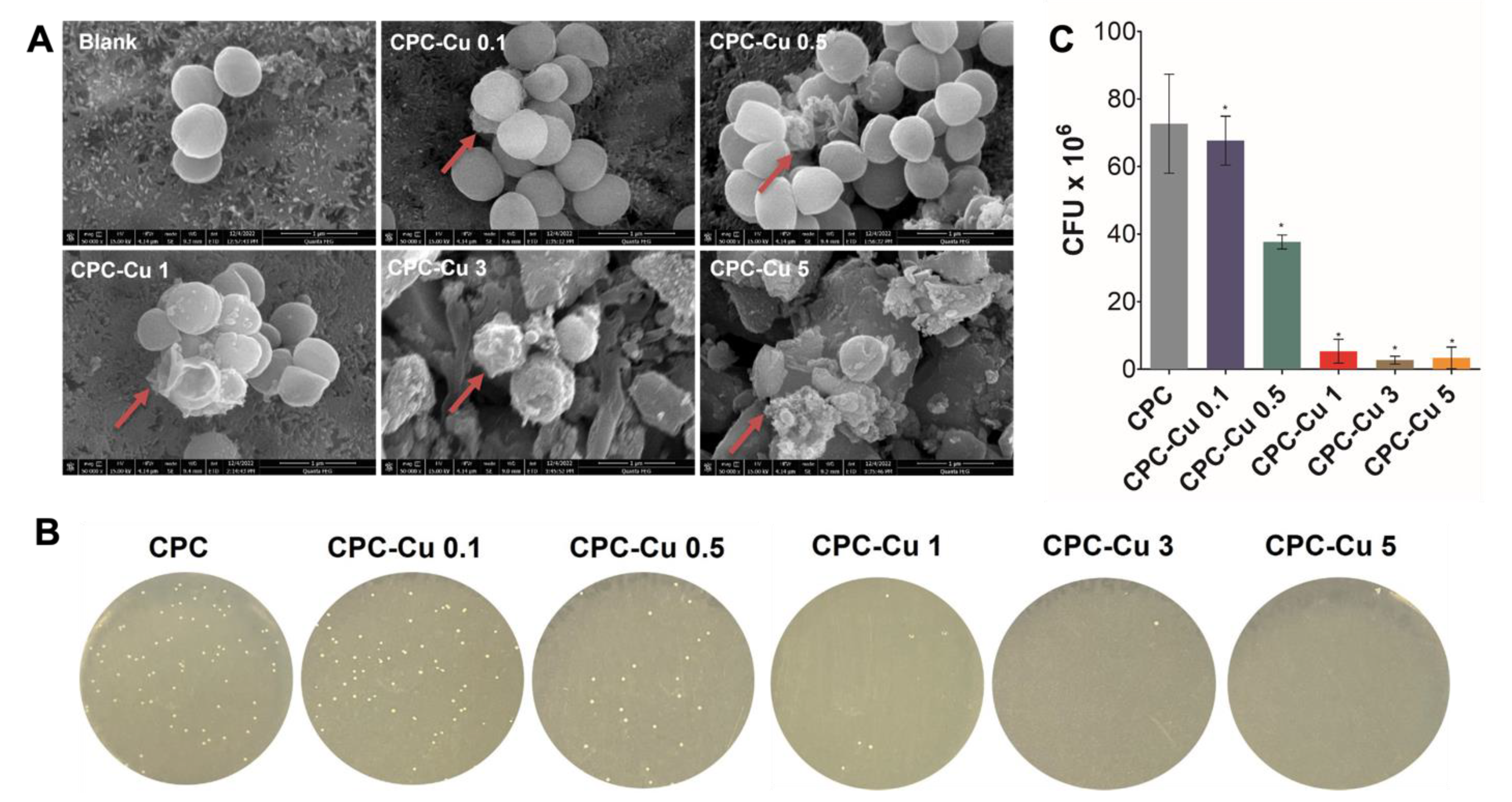 Pharmaceuticals 16 00352 g006