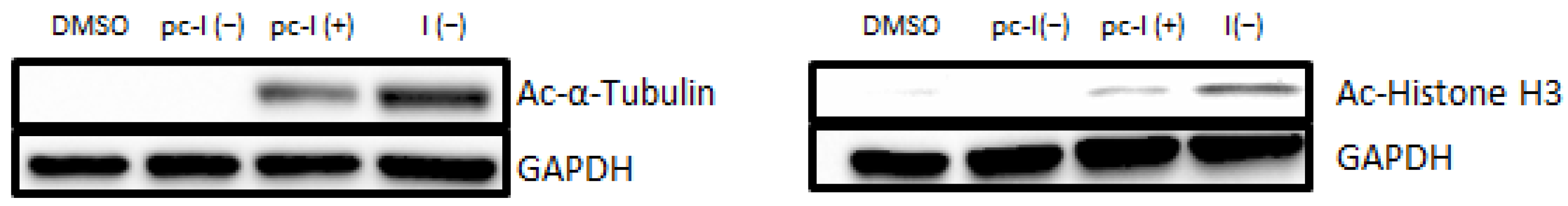 Pharmaceuticals 16 00356 g004 Pharmaceuticals 16 00356 g004