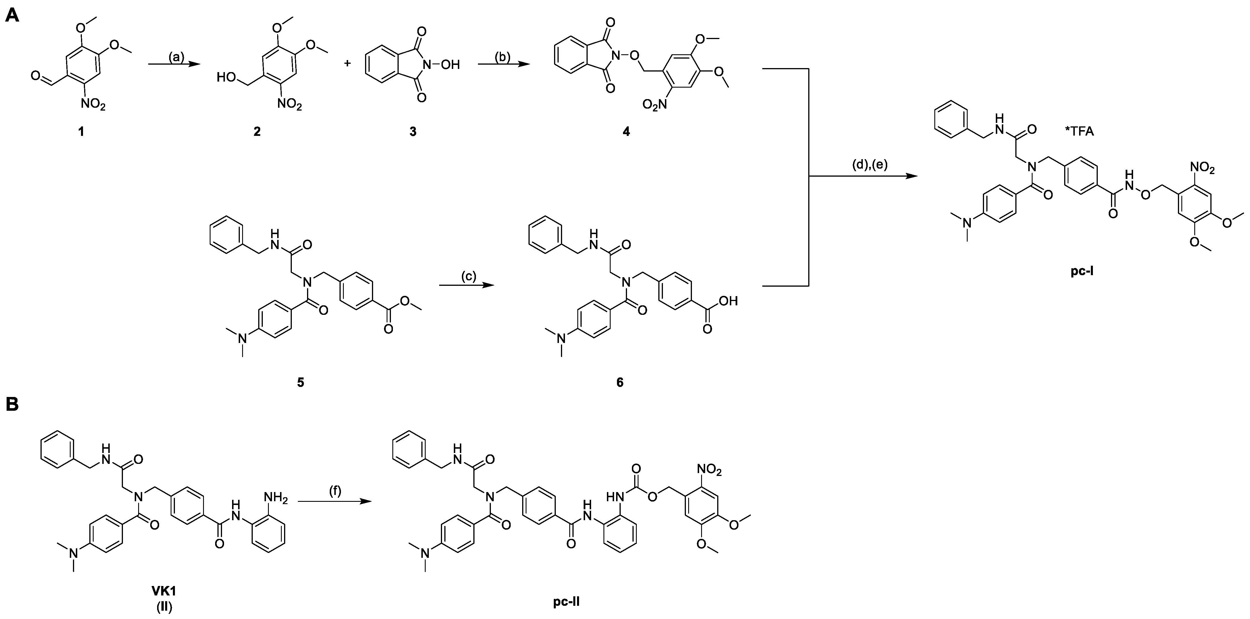 Pharmaceuticals 16 00356 sch001 Pharmaceuticals 16 00356 sch001