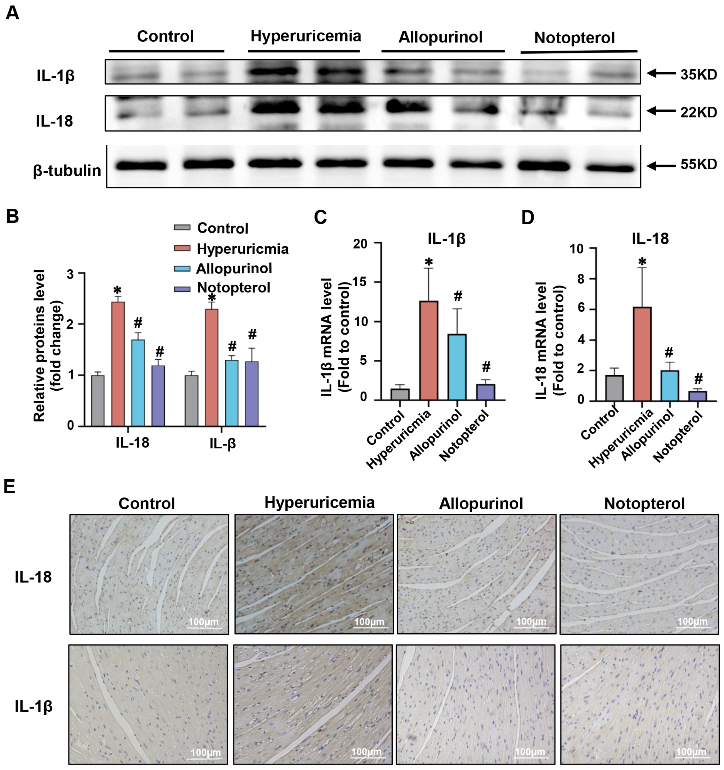 Pharmaceuticals 16 00361 g002 Pharmaceuticals 16 00361 g002