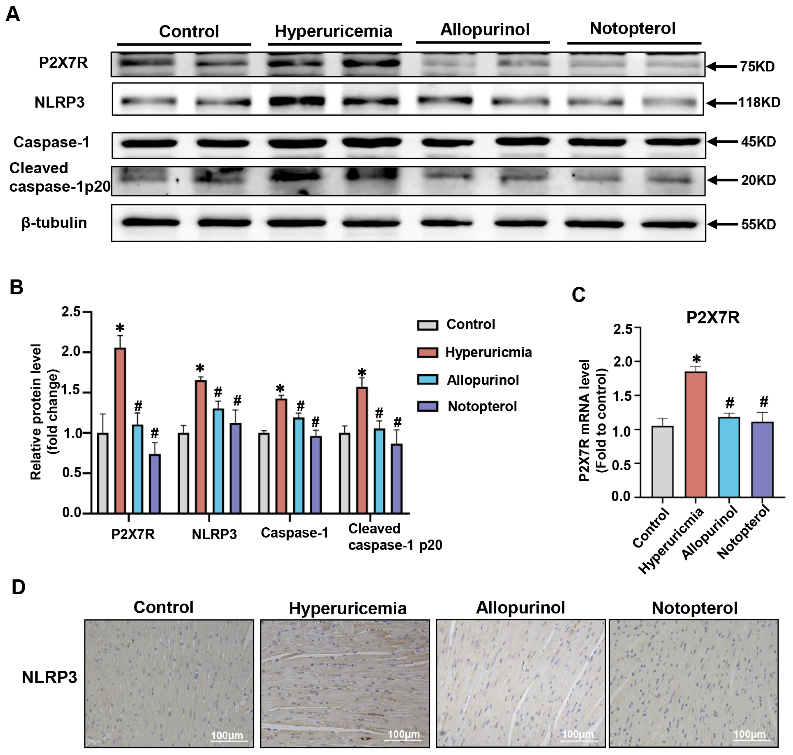 Pharmaceuticals 16 00361 g003 Pharmaceuticals 16 00361 g003