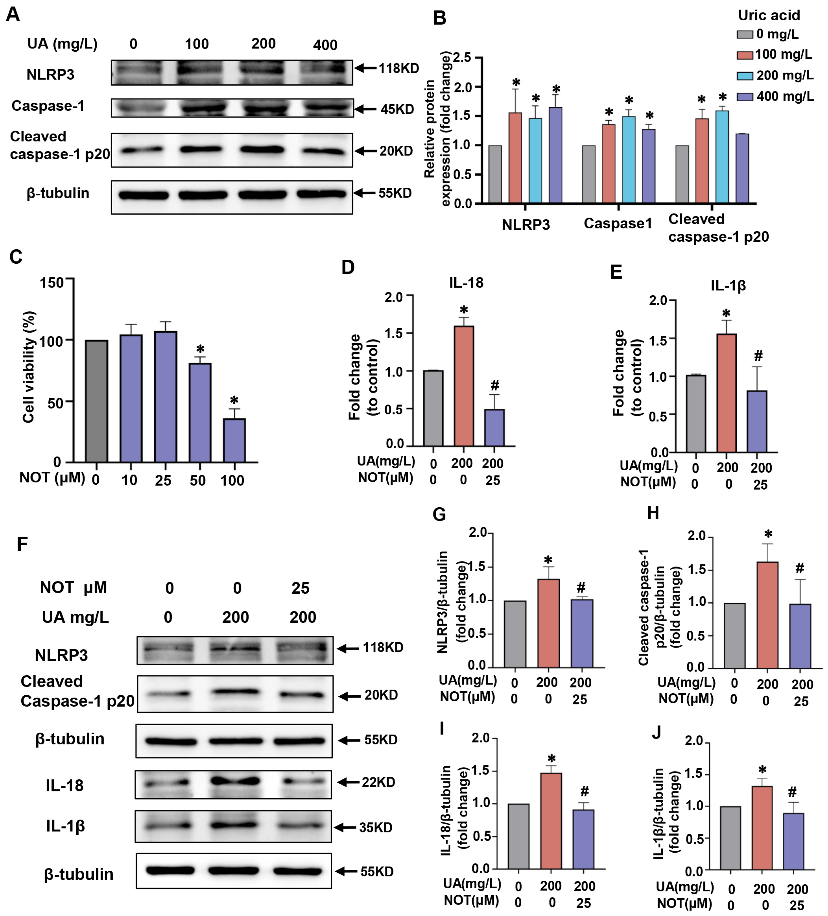 Pharmaceuticals 16 00361 g004 Pharmaceuticals 16 00361 g004