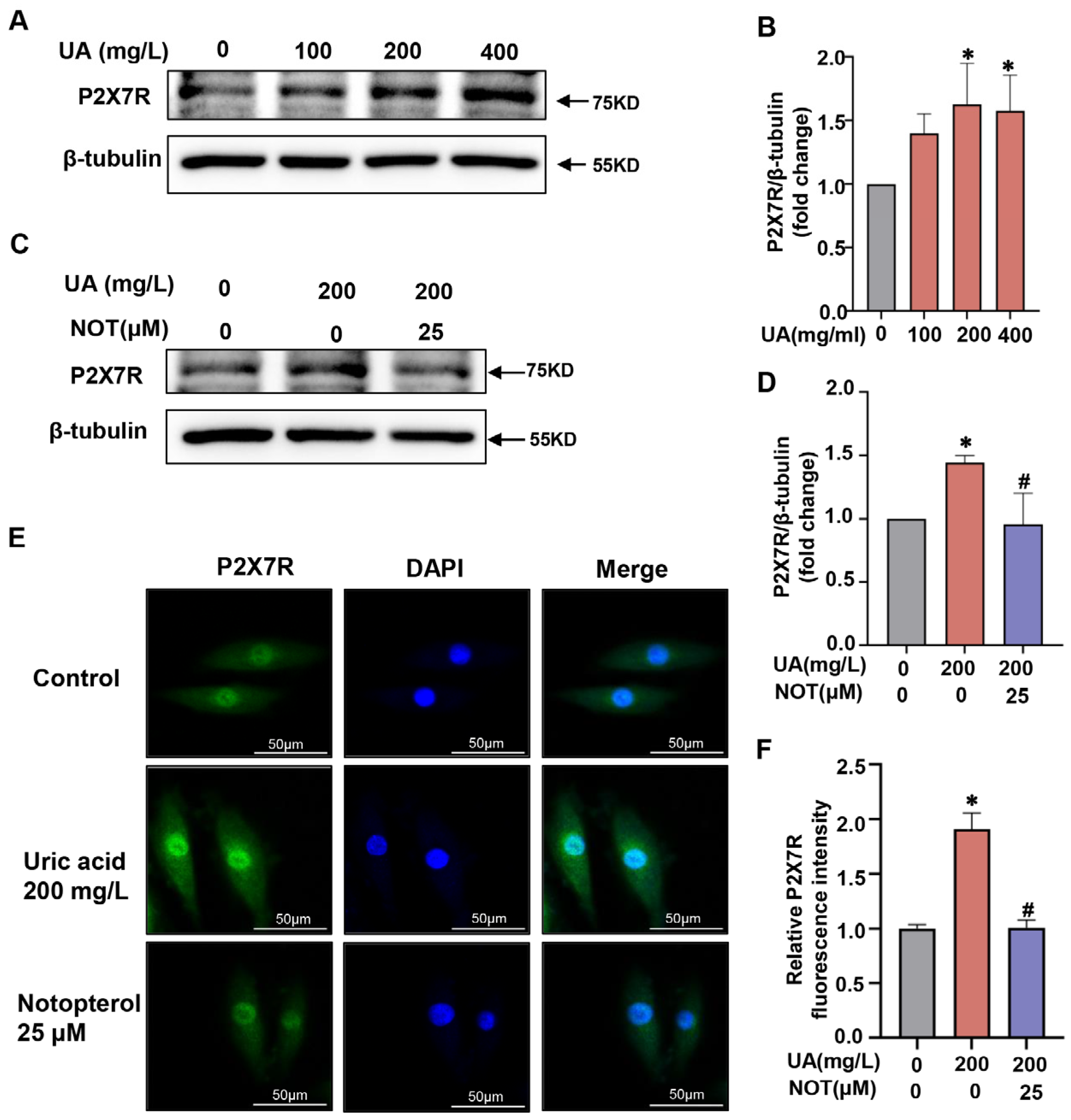 Pharmaceuticals 16 00361 g005 Pharmaceuticals 16 00361 g005