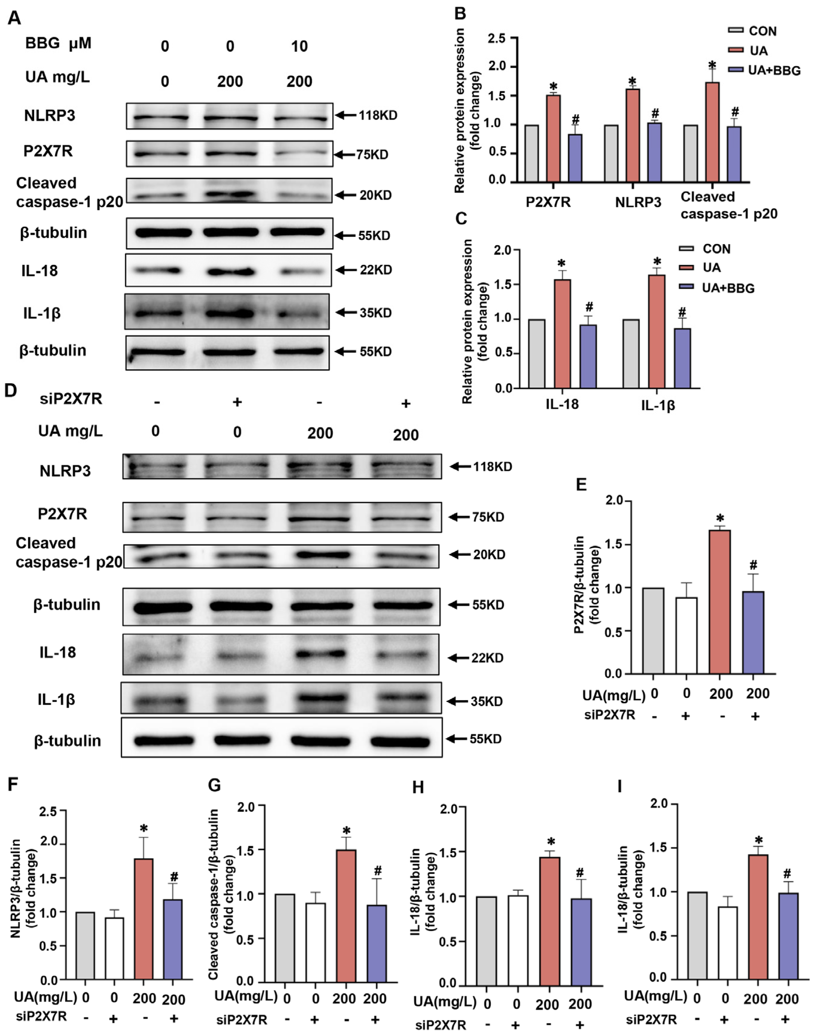 Pharmaceuticals 16 00361 g006 Pharmaceuticals 16 00361 g006