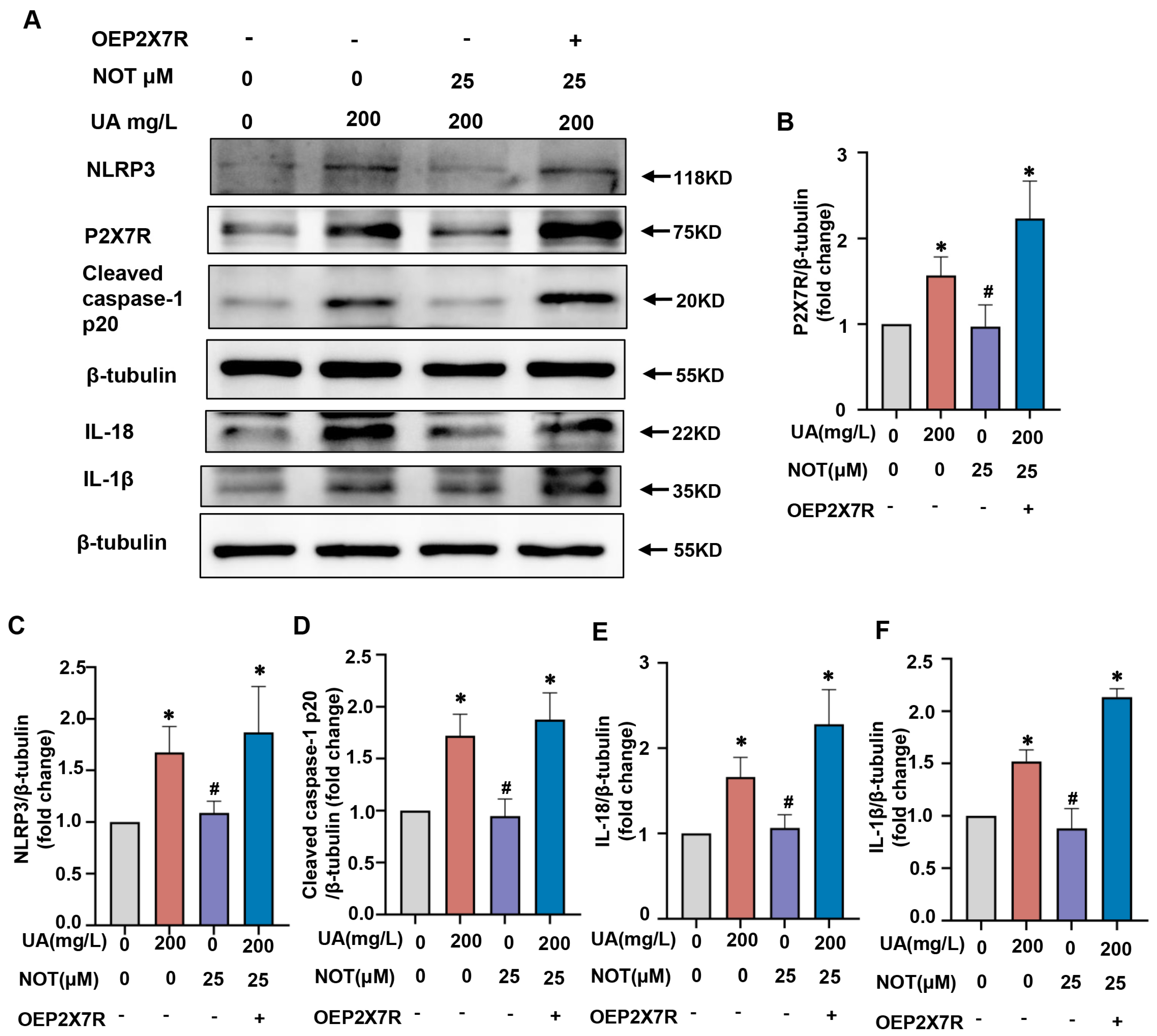 Pharmaceuticals 16 00361 g007 Pharmaceuticals 16 00361 g007