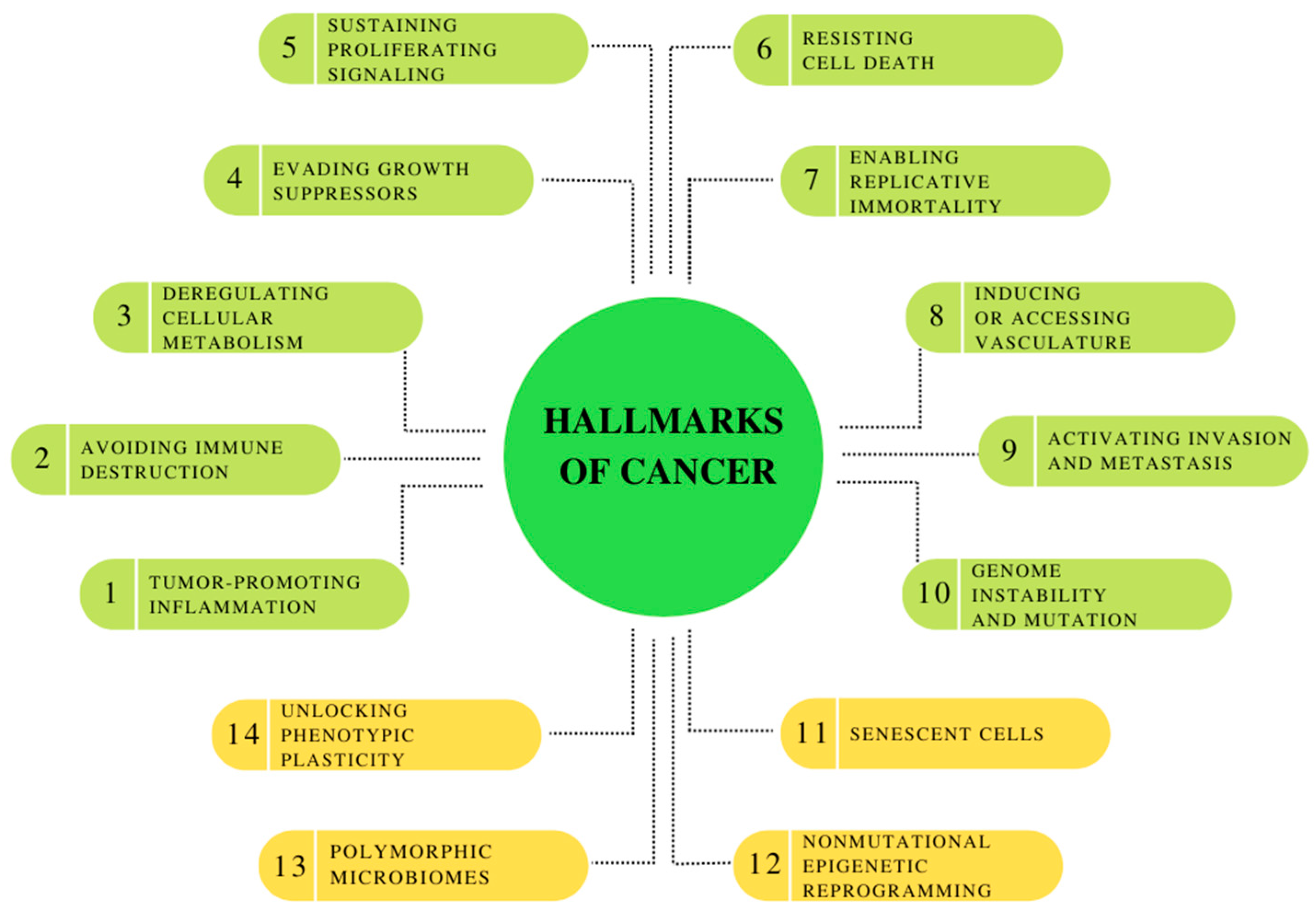 Pharmaceuticals 16 00366 g001 Pharmaceuticals 16 00366 g001