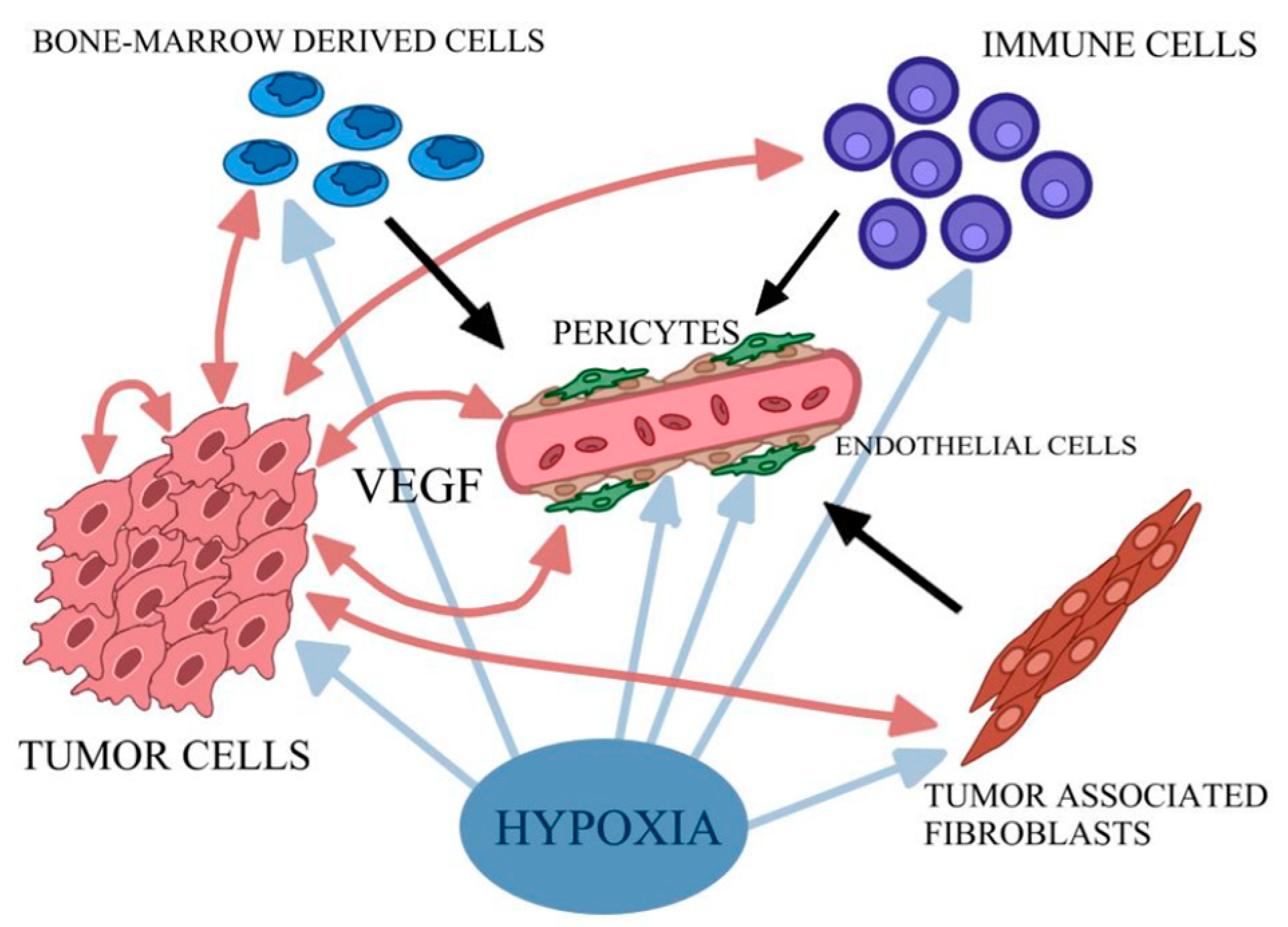 Pharmaceuticals 16 00366 g002 Pharmaceuticals 16 00366 g002