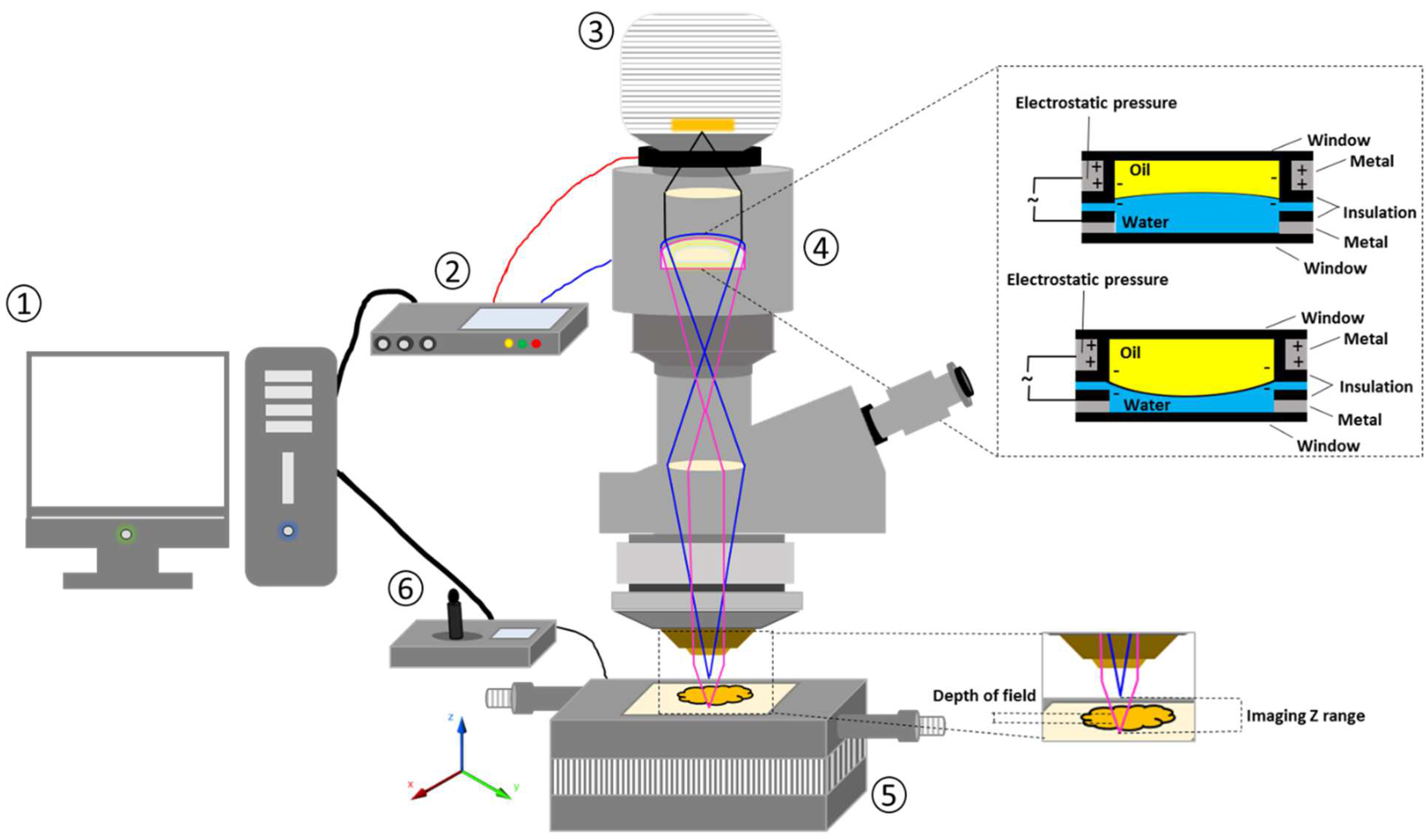 Pharmaceuticals 16 00372 g015 Pharmaceuticals 16 00372 g015