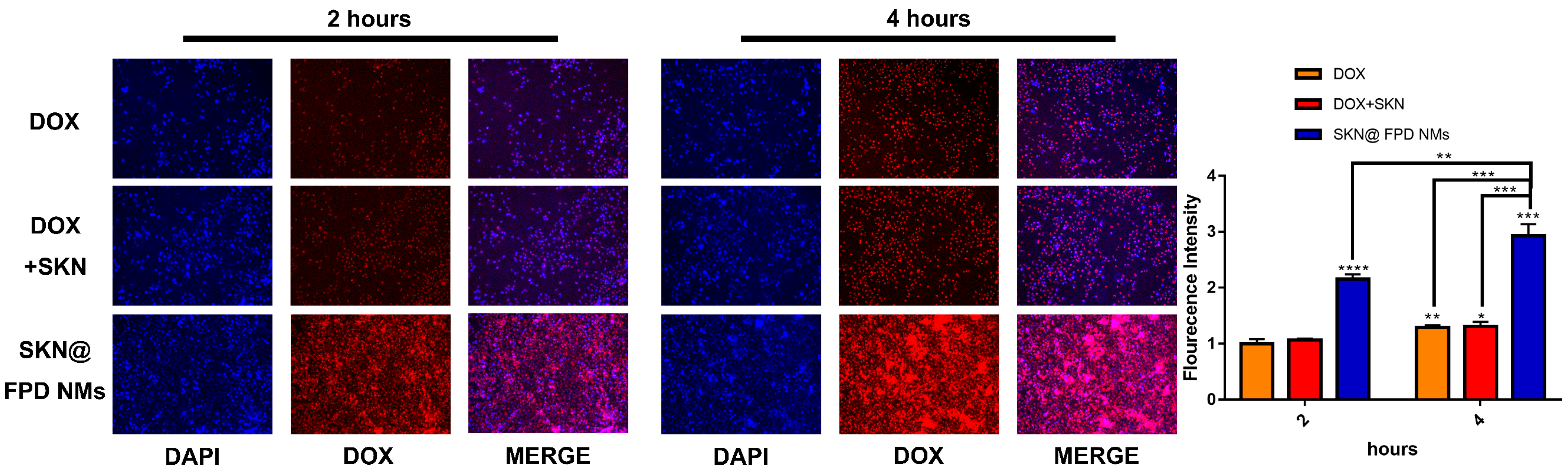 Pharmaceuticals 16 00374 g007 Pharmaceuticals 16 00374 g007