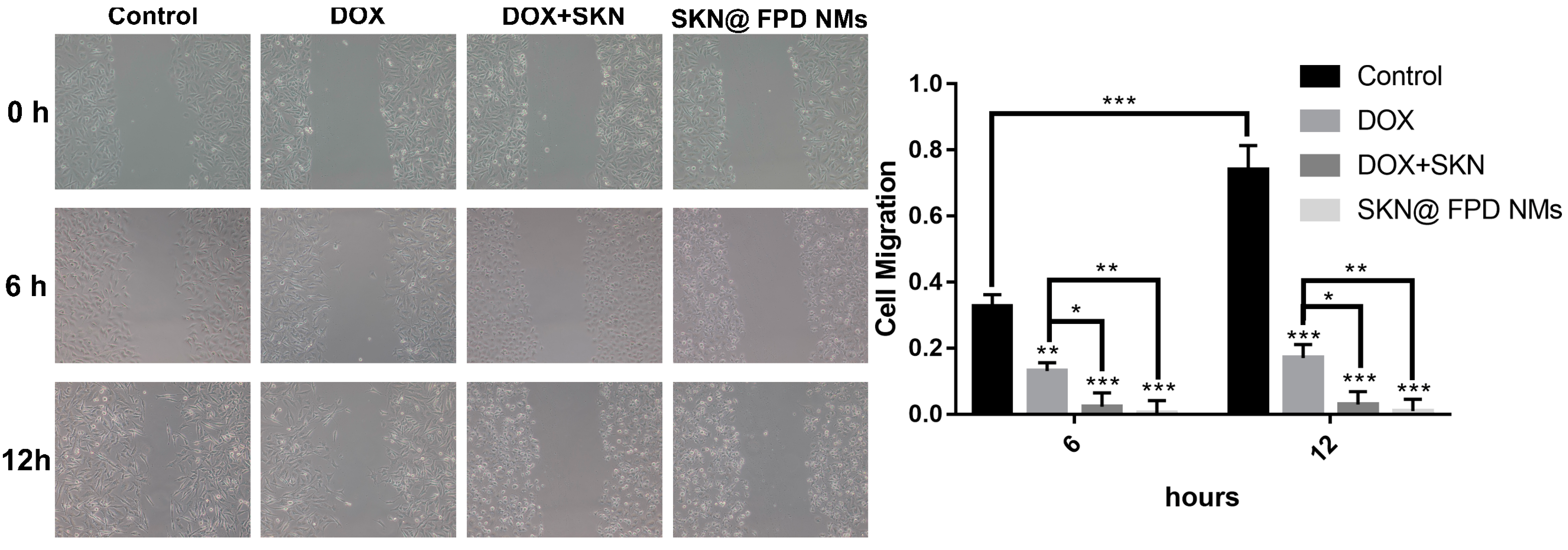 Pharmaceuticals 16 00374 g008 Pharmaceuticals 16 00374 g008