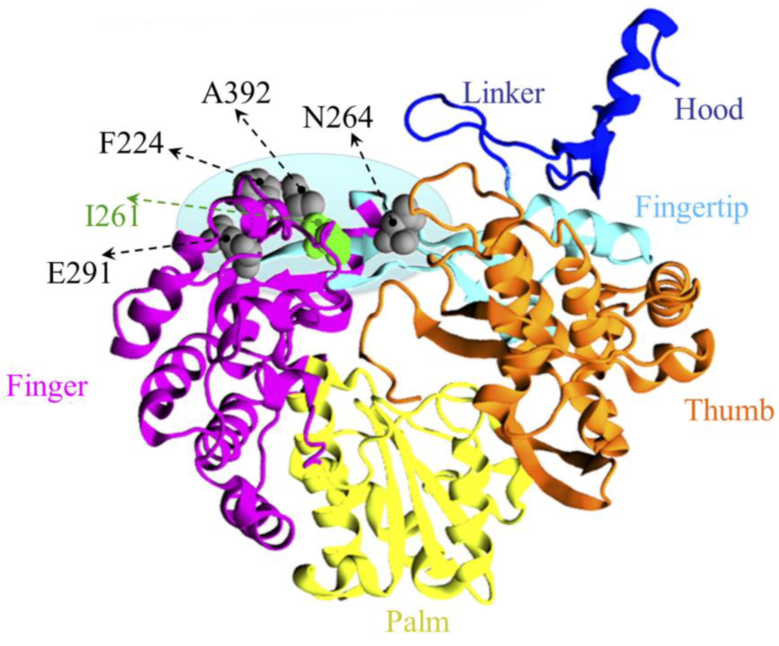 Pharmaceuticals 16 00376 g007 Pharmaceuticals 16 00376 g007
