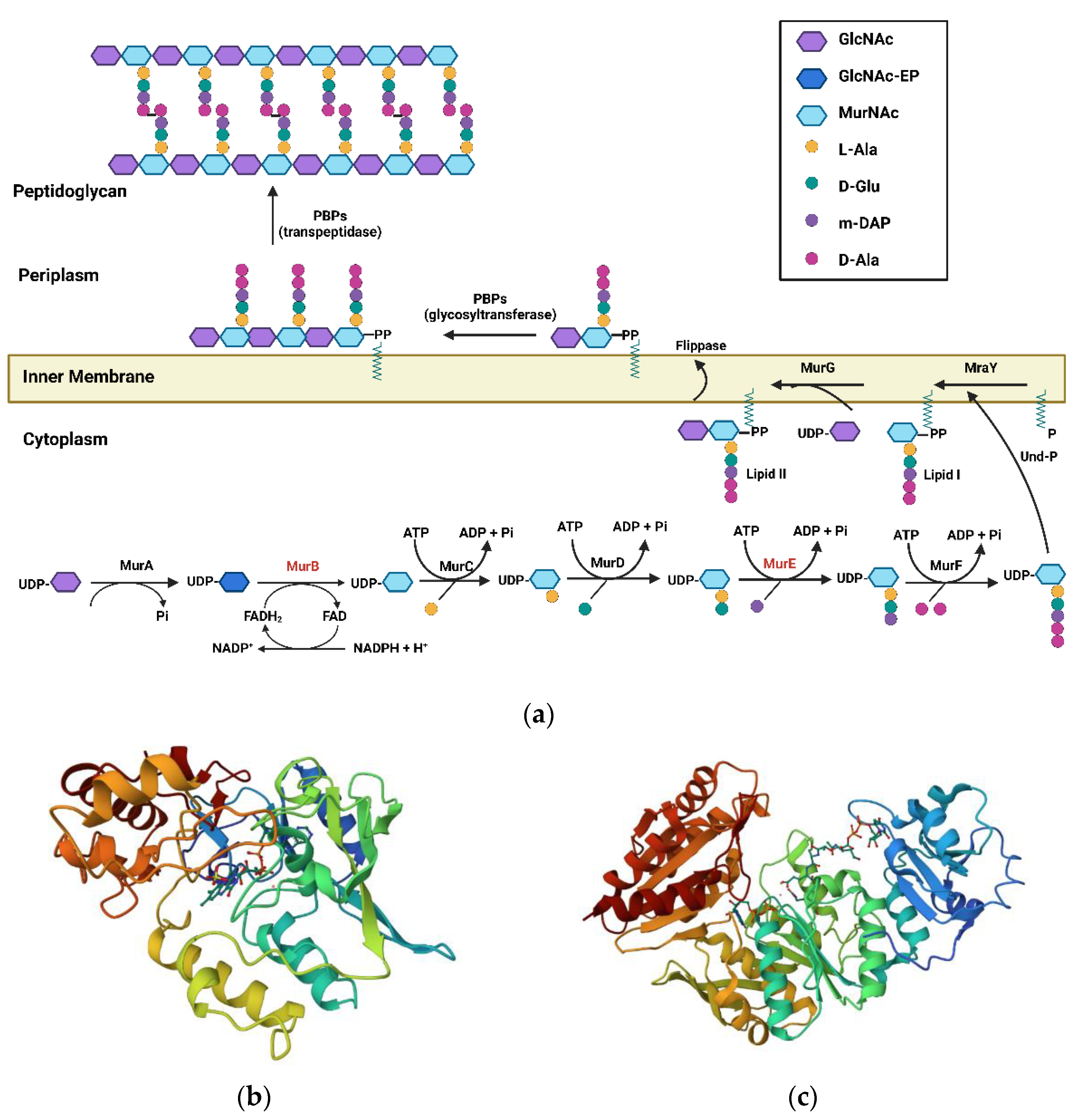 Pharmaceuticals 16 00377 g001