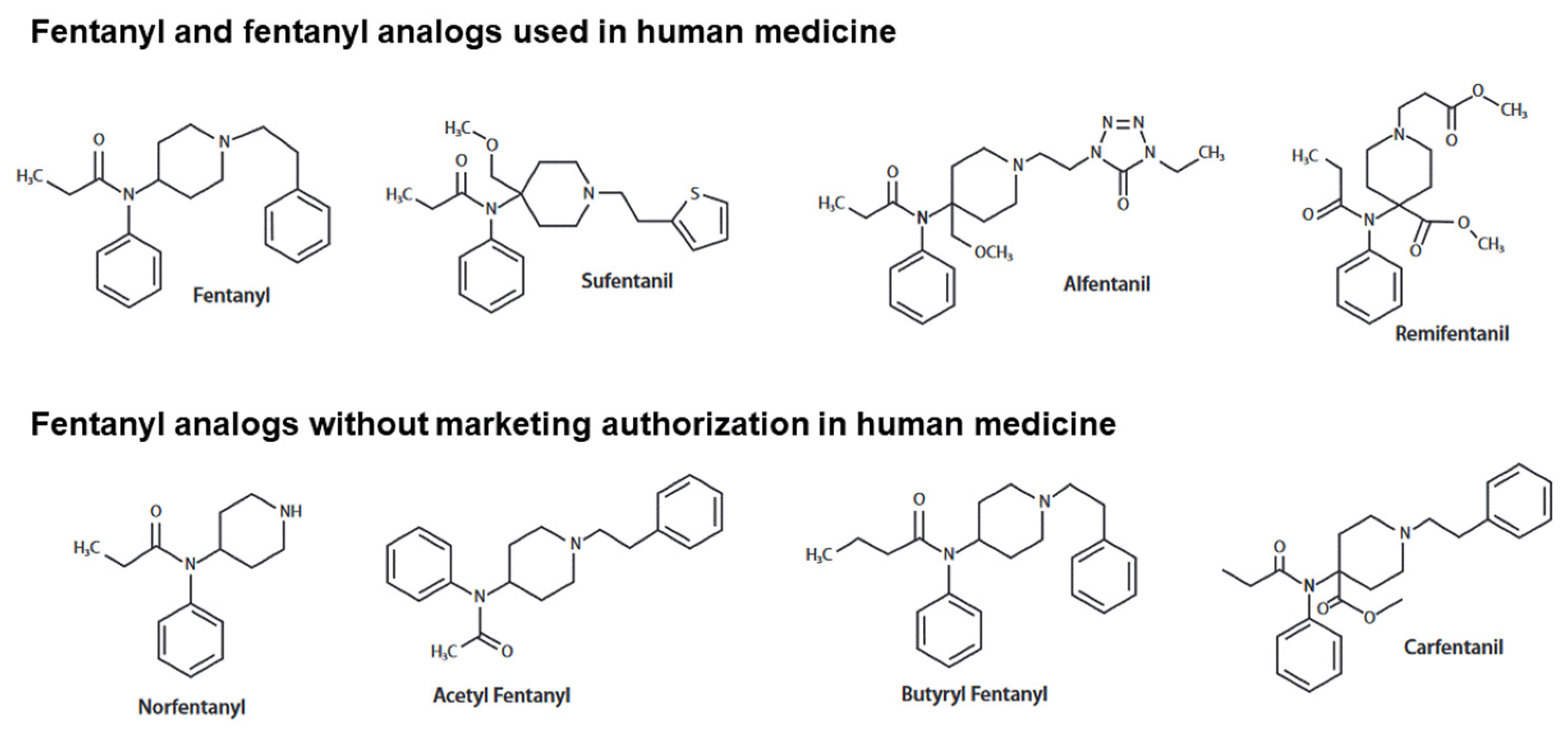 Pharmaceuticals 16 00382 g001 Pharmaceuticals 16 00382 g001
