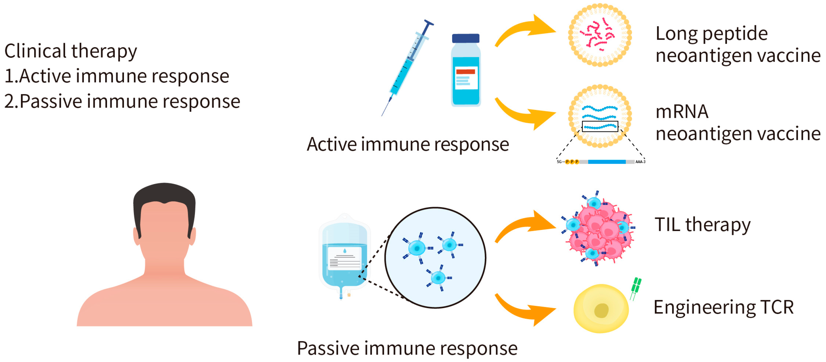 Pharmaceuticals 16 00392 g003 Pharmaceuticals 16 00392 g003