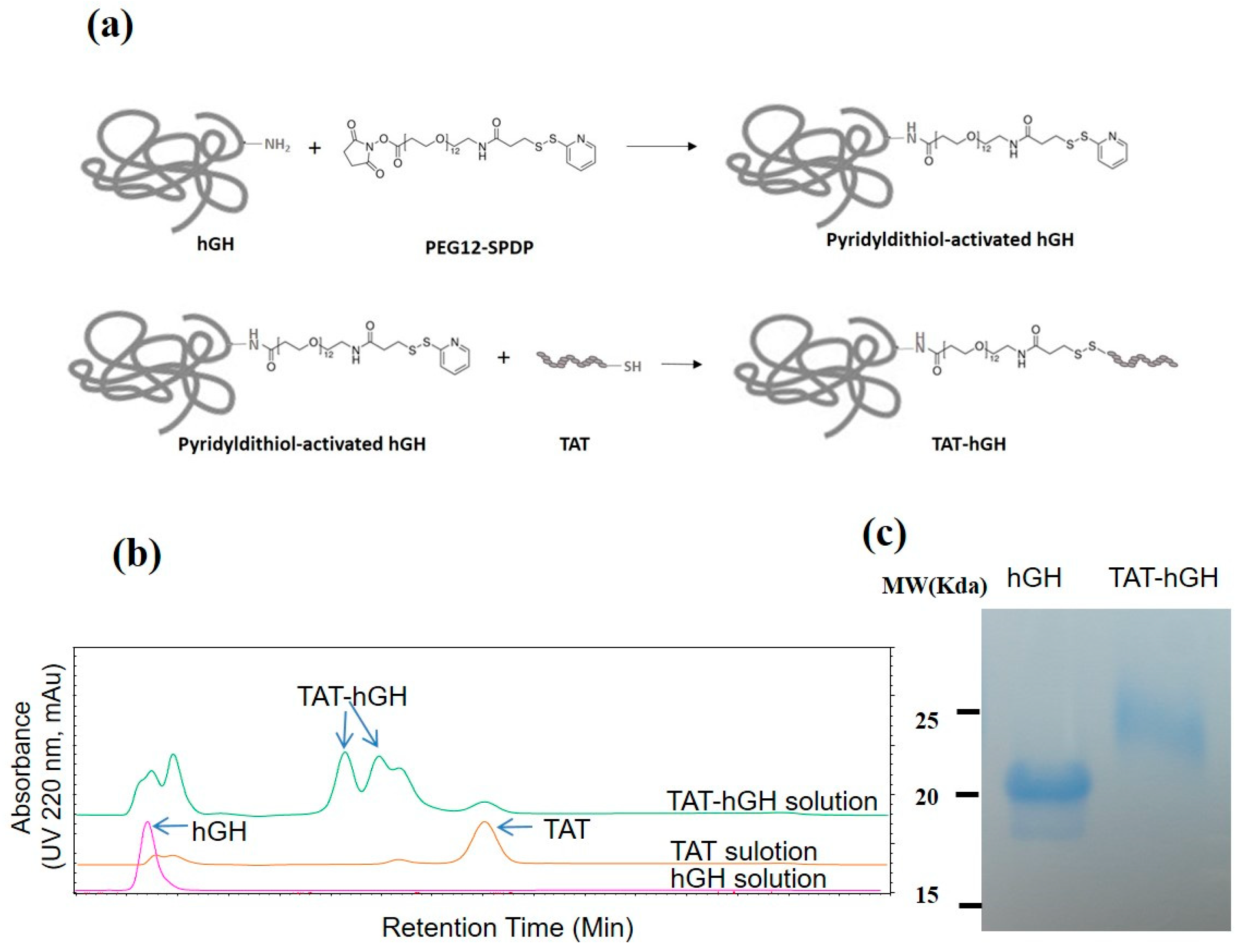 Pharmaceuticals 16 00394 g001 Pharmaceuticals 16 00394 g001