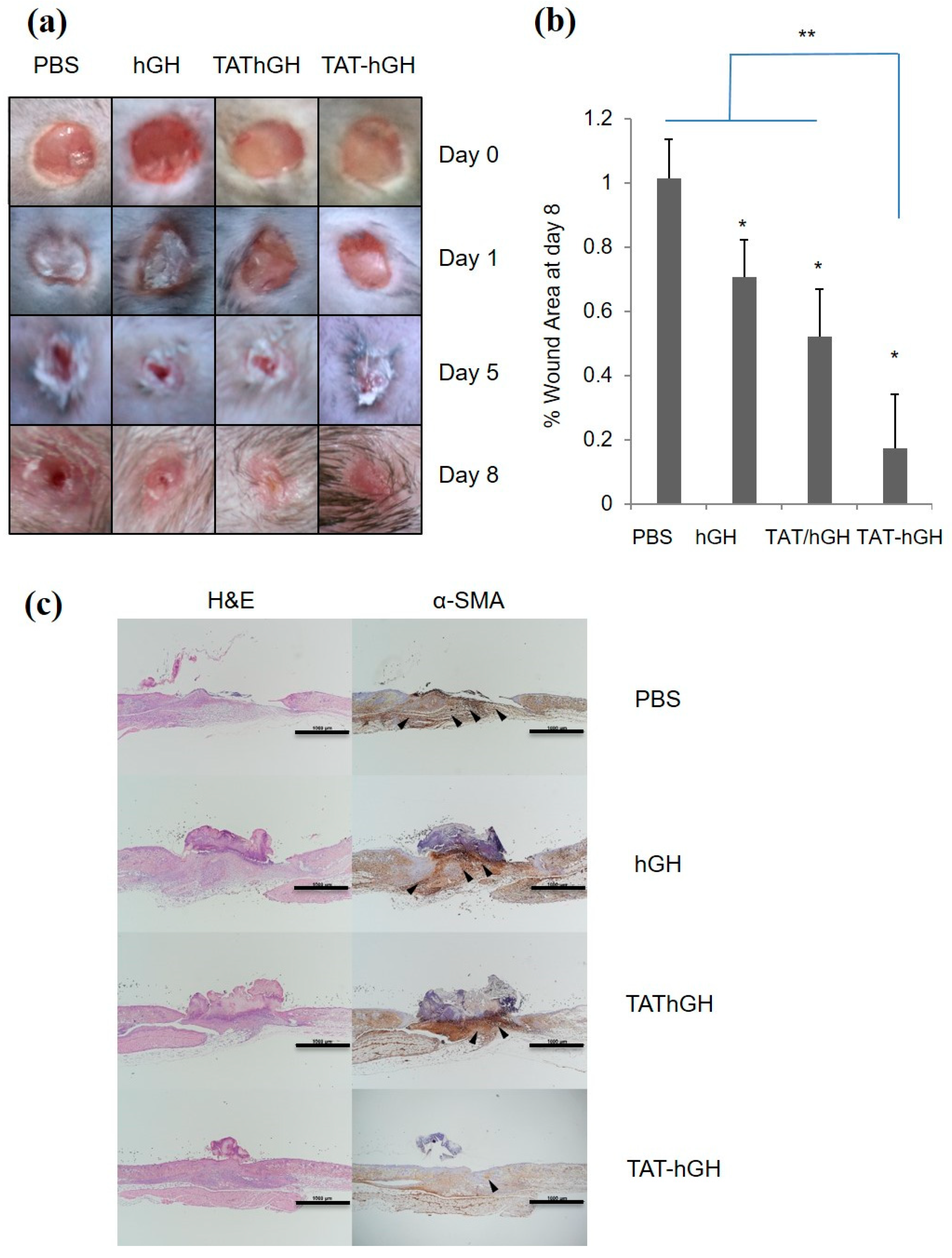 Pharmaceuticals 16 00394 g004 Pharmaceuticals 16 00394 g004
